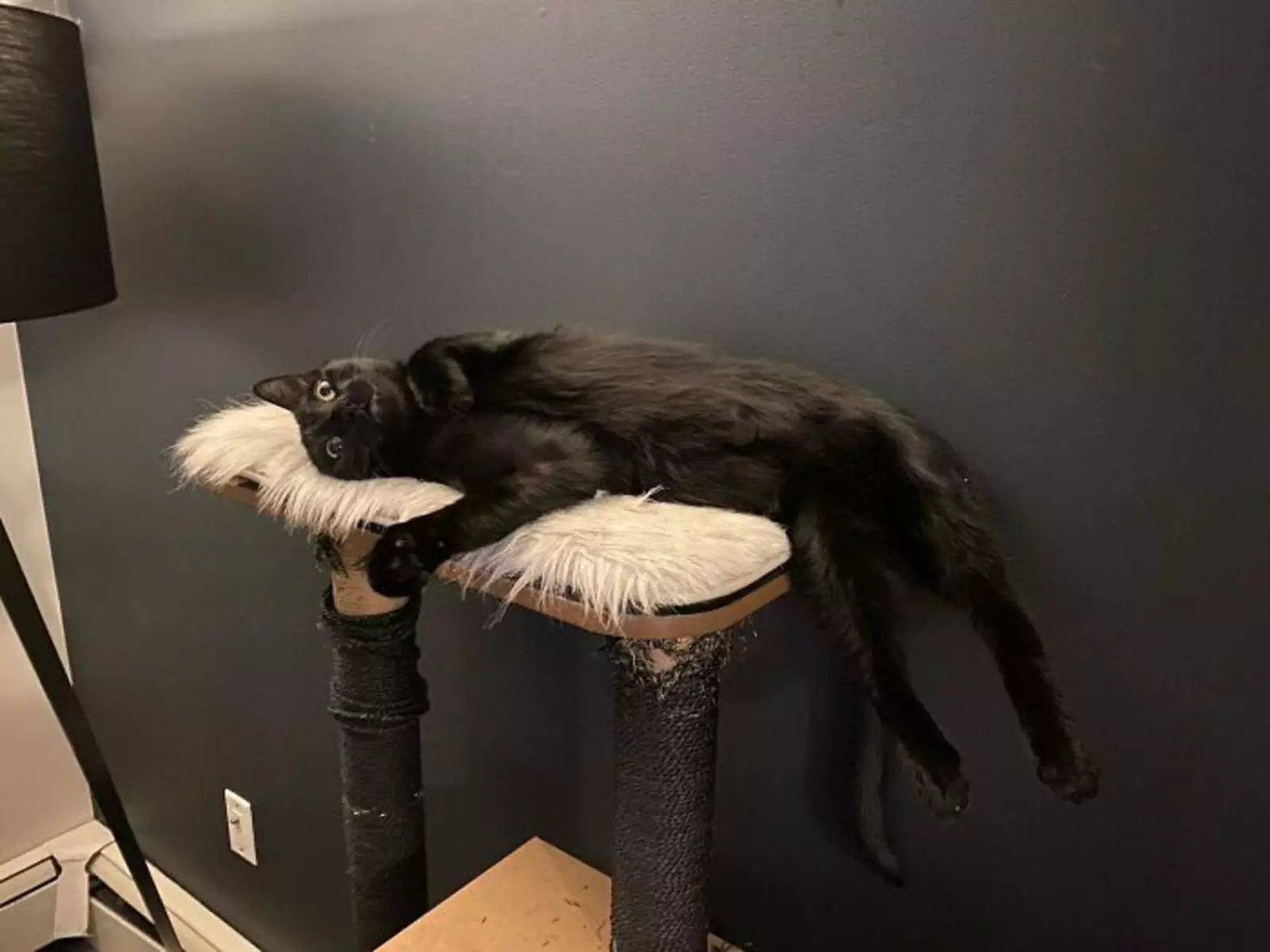 «У Билла экзистенциальный кризис». «У Билла экзистенциальный кризис».