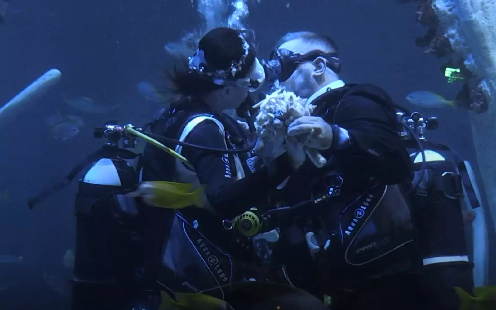 Пара поженилась в аквариуме объемом 864 тысяч литров. Пара поженилась в аквариуме объемом 864 тысяч литров.