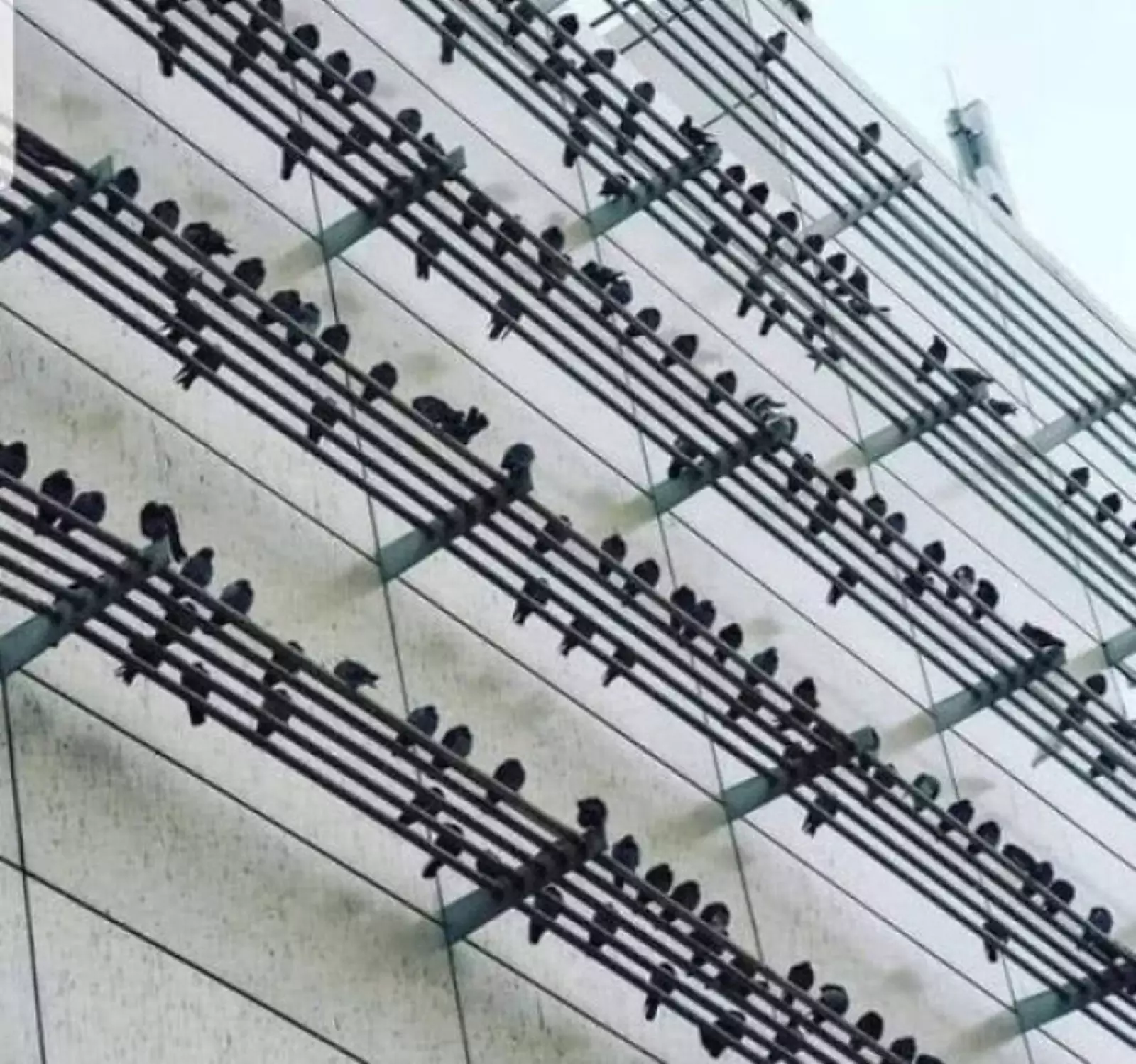 Музыкальные ноты. Музыкальные ноты.