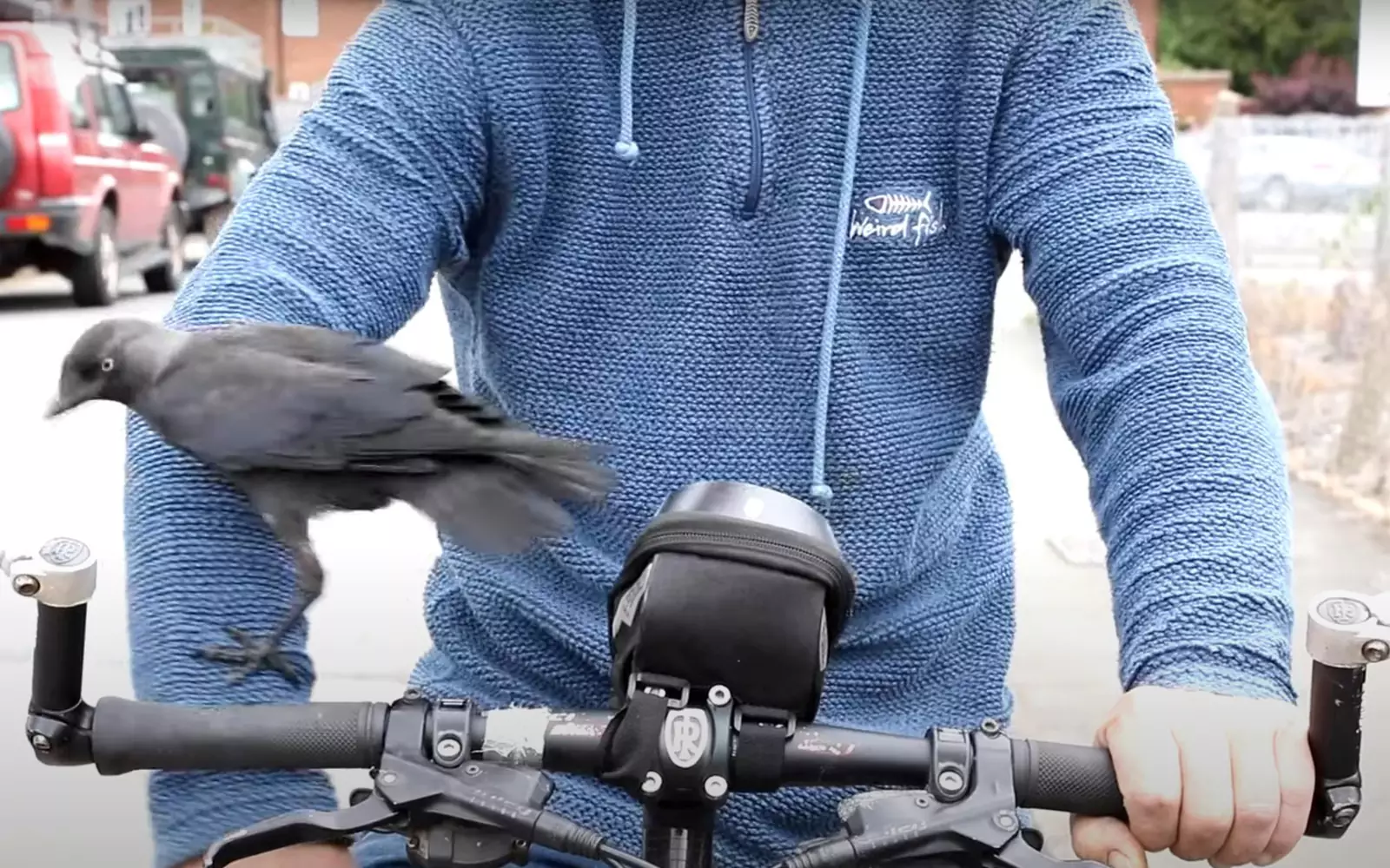 Майкл Смит нашел Патча, когда ехал домой на велосипеде. Майкл Смит нашел Патча, когда ехал домой на велосипеде.