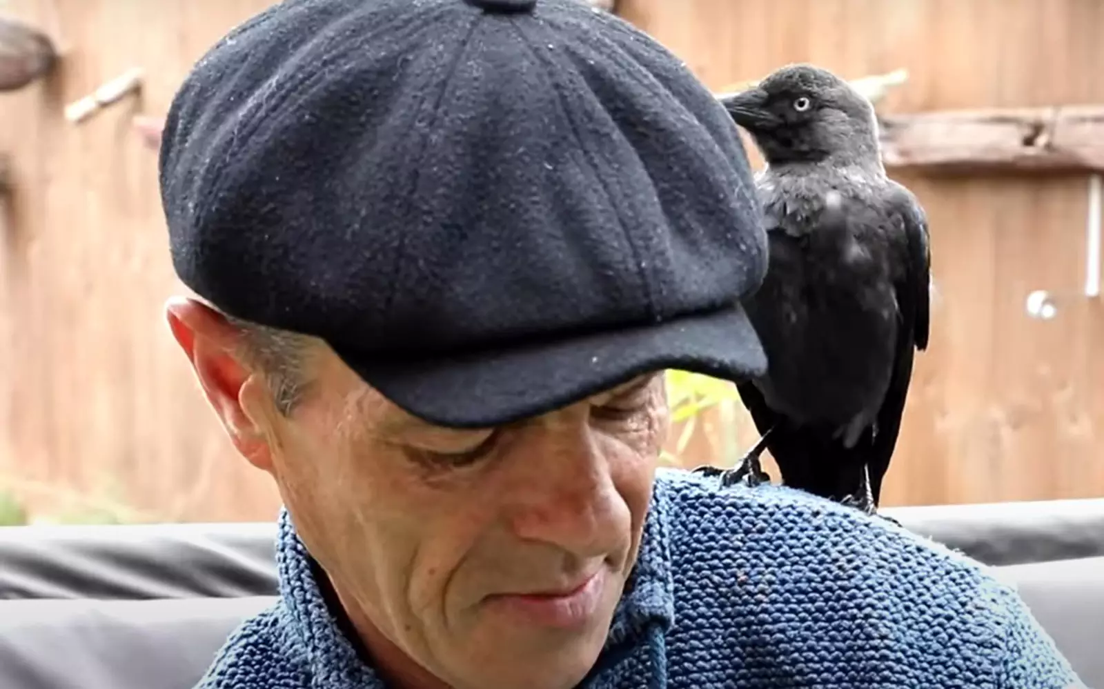 Теперь Патч — мой лучший друг, и я провожу с ним много времени. Теперь Патч — мой лучший друг, и я провожу с ним много времени.