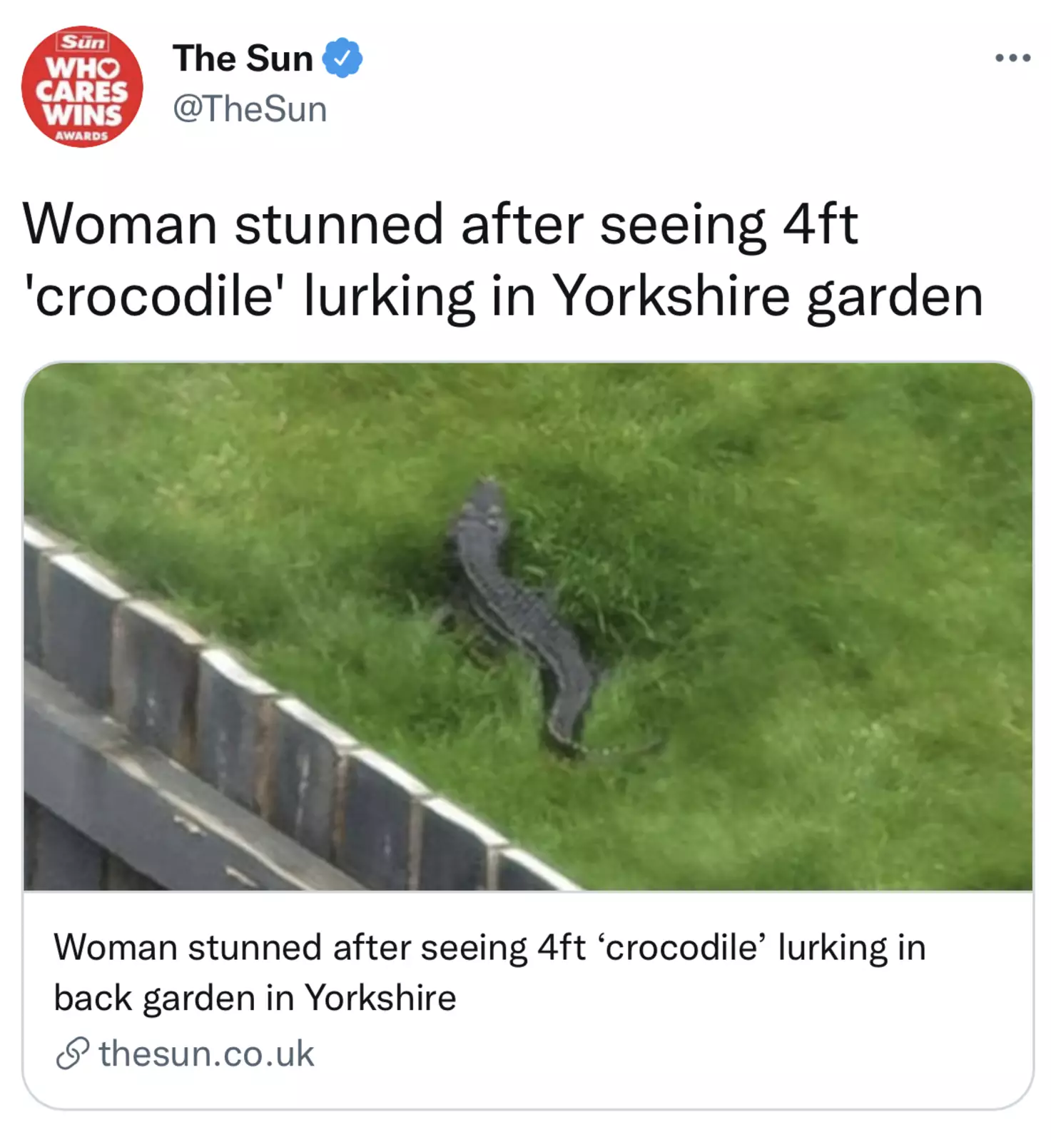 Фото крокодила опубликовали в британском The Sun Фото крокодила опубликовали в британском The Sun
