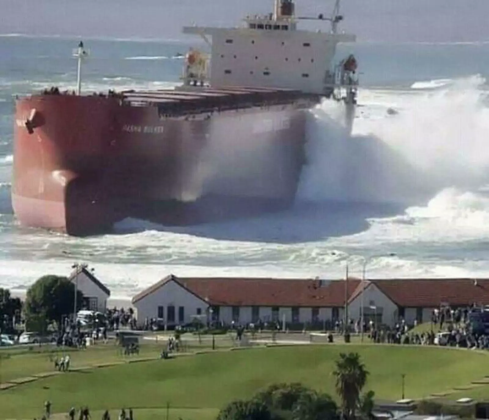 Верьте-нет, но это не коллаж. Верьте-нет, но это не коллаж.