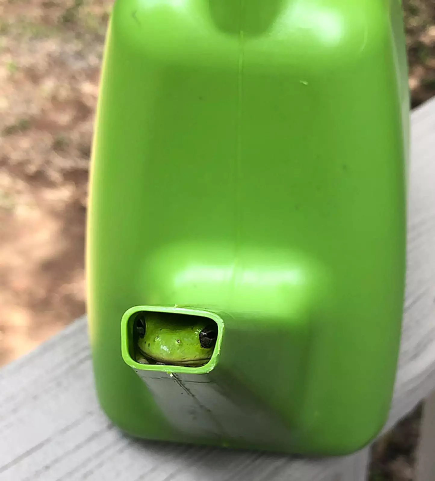 Конспирация полная! Конспирация полная!