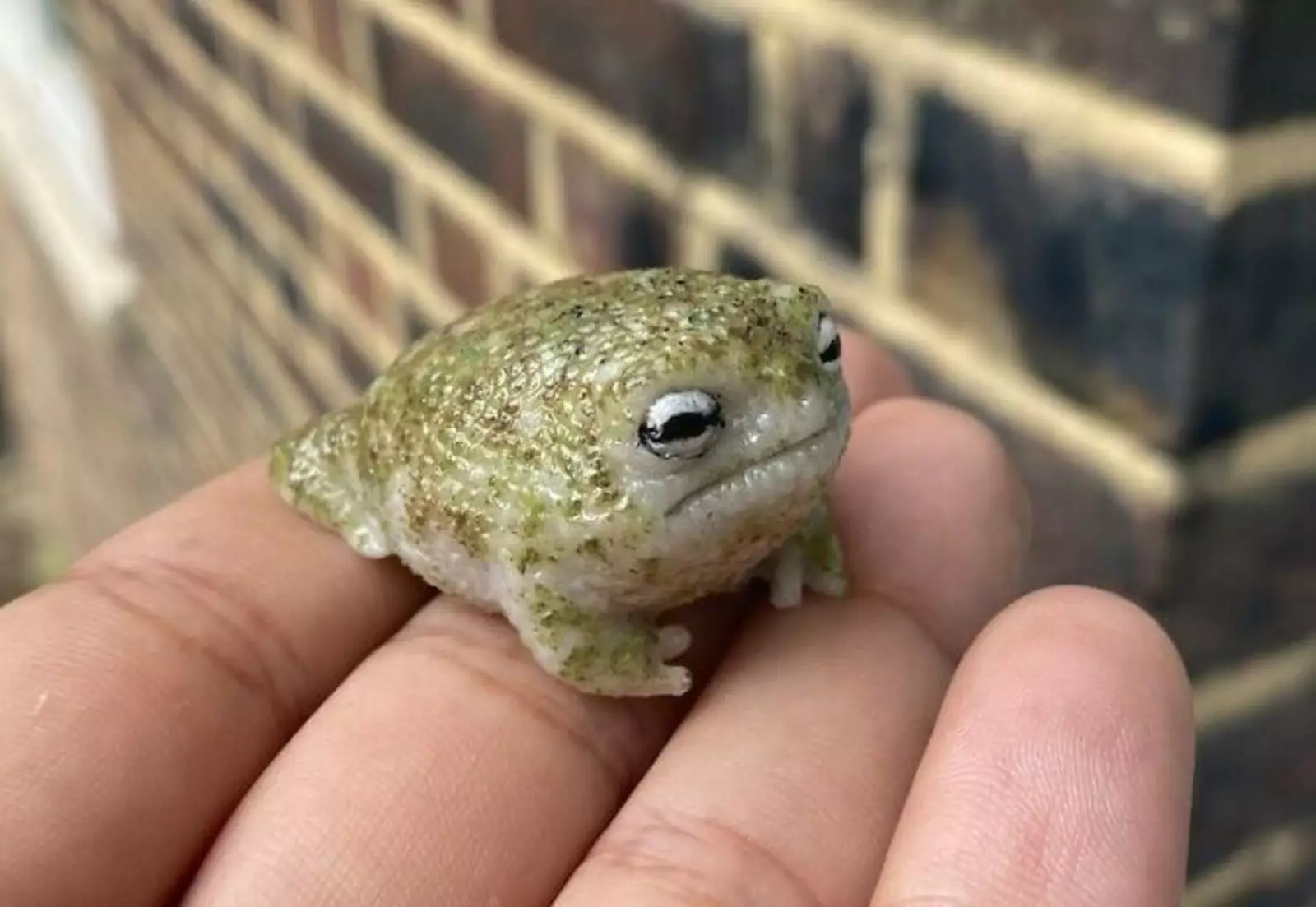 Твоя подруга в тот момент, когда он сказал, что это платье ее полнит. Твоя подруга в тот момент, когда он сказал, что это платье ее полнит.