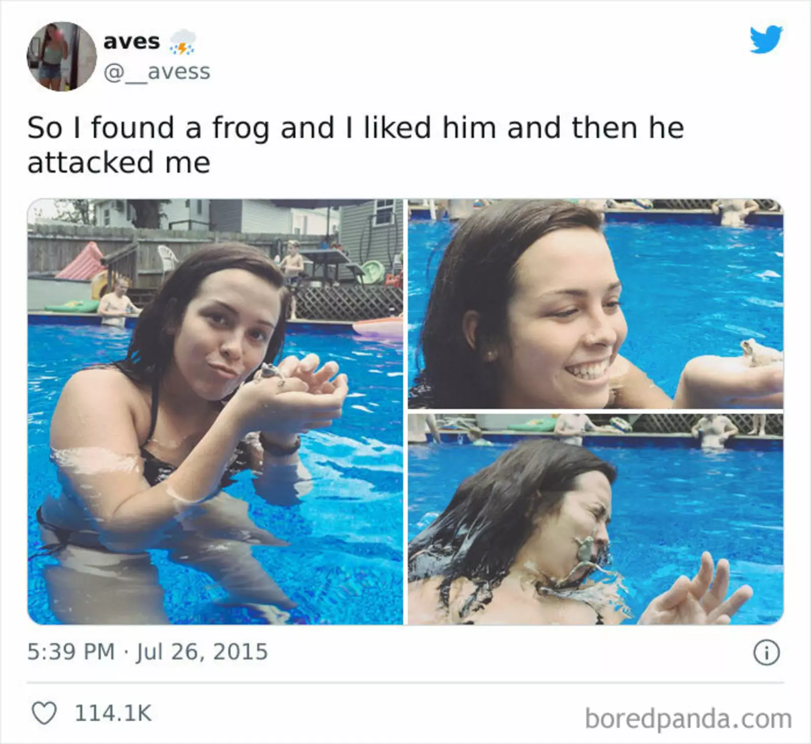 Я нашла лягушонка и он мне понравился. Правда, потом он решил меня атаковать. Я нашла лягушонка и он мне понравился. Правда, потом он решил меня атаковать.