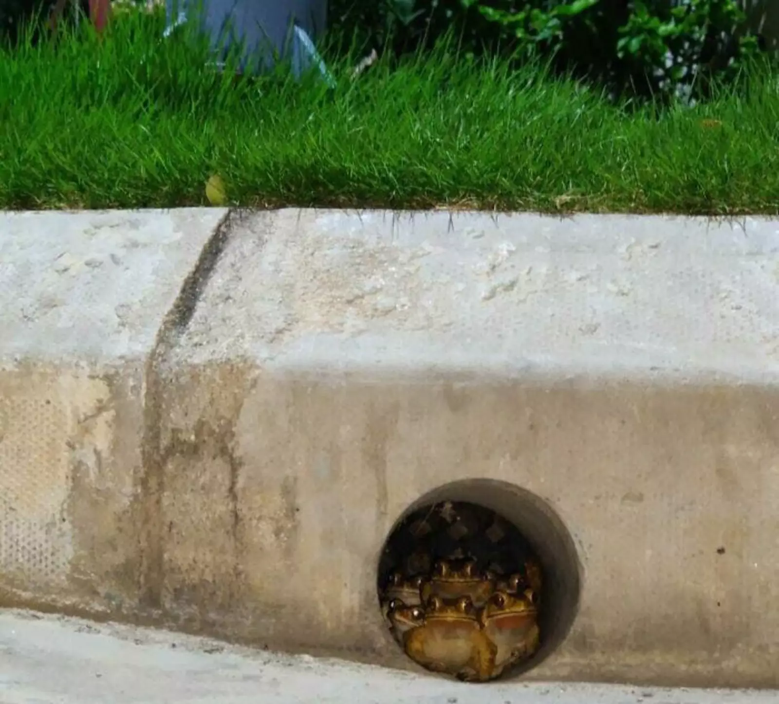 Семейное фото из 2020 года: Семейное фото из 2020 года: