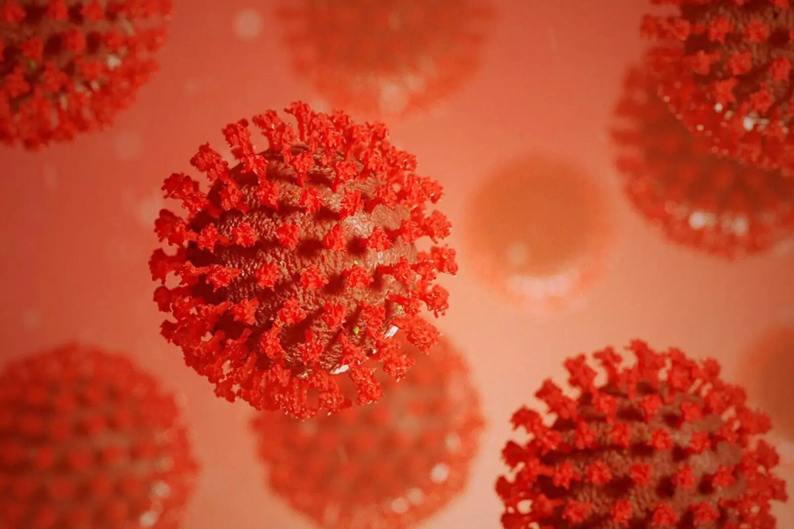 Коронавирус Коронавирус