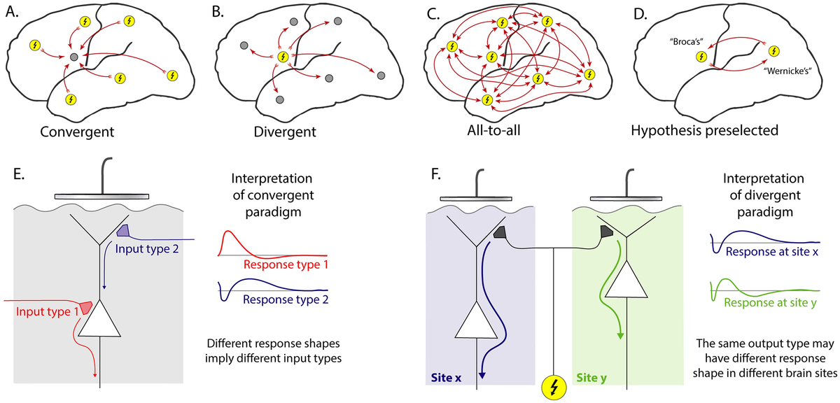 Алгоритм сравнивает ответы мозга на стимуляцию током.