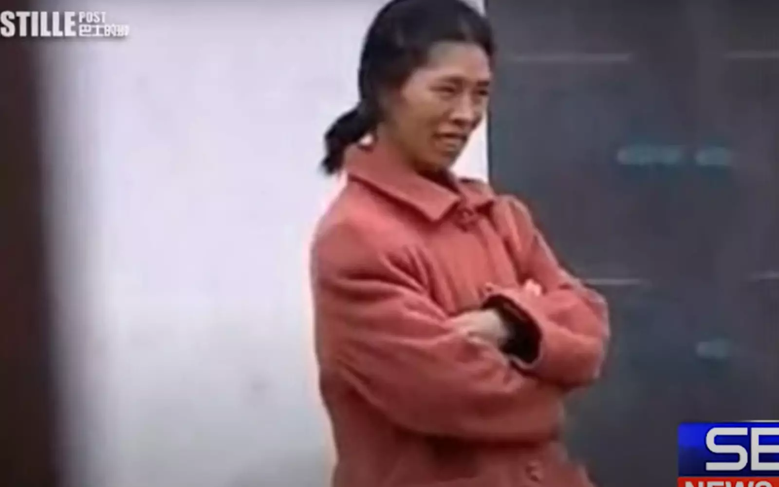 Ли Чжаньин. Ли Чжаньин.