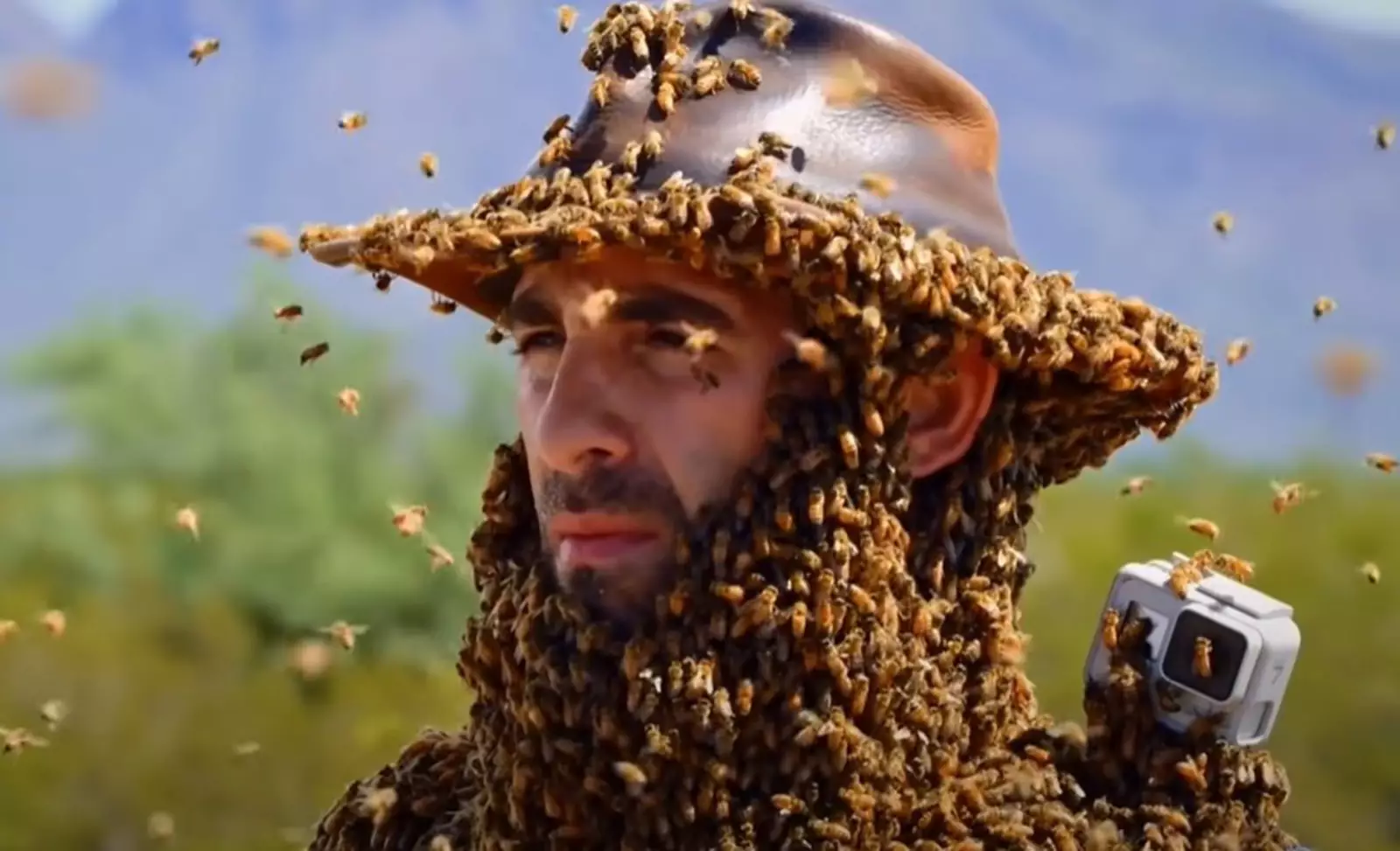 Пчелиная борода. Пчелиная борода.