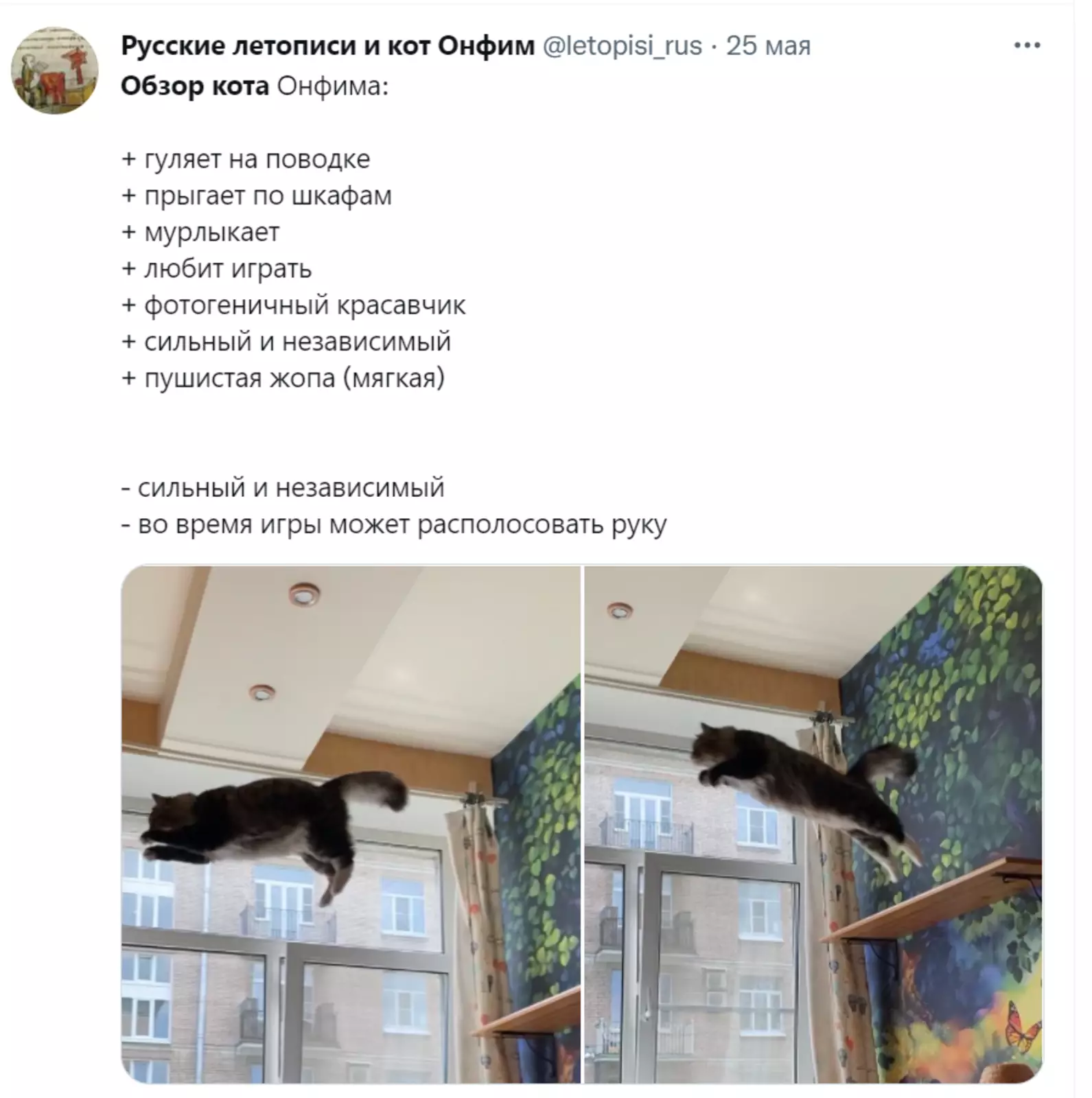 Пострадавшая рука того стоит. 