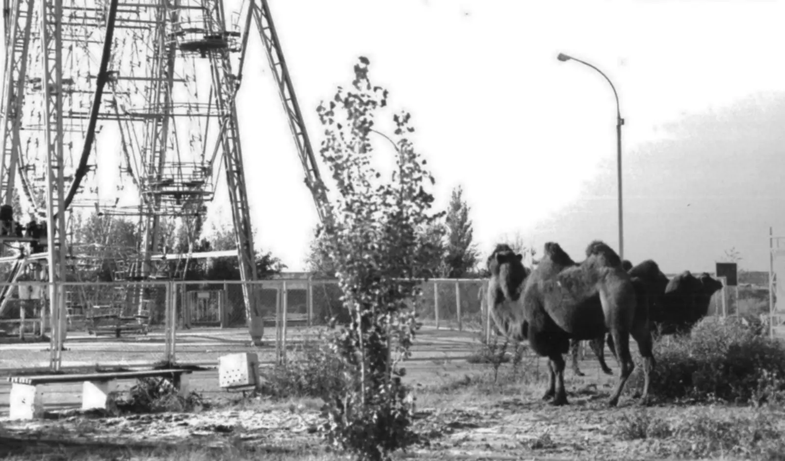 Ленинск (Байконур), Парк Ленинск (Байконур), Парк
