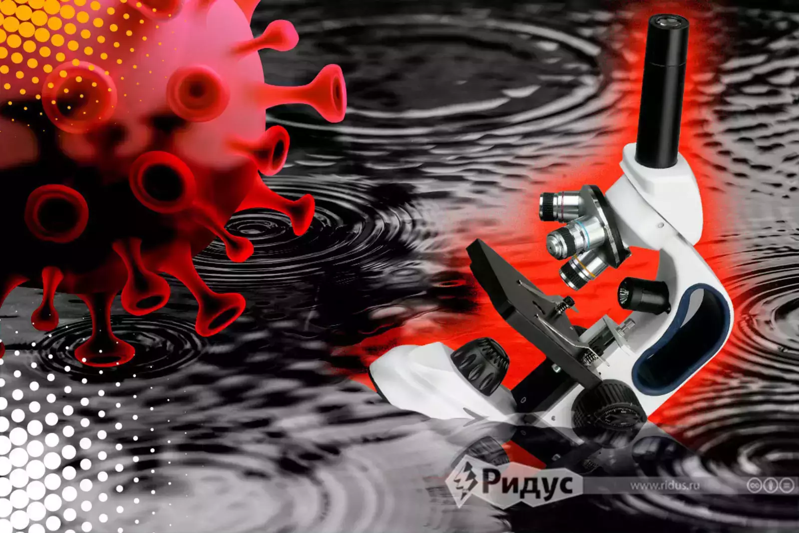 Лабораторные эксперименты на мышах подтвердились предшествующими исследованиями на людях в Африке. Лабораторные эксперименты на мышах подтвердились предшествующими исследованиями на людях в Африке.