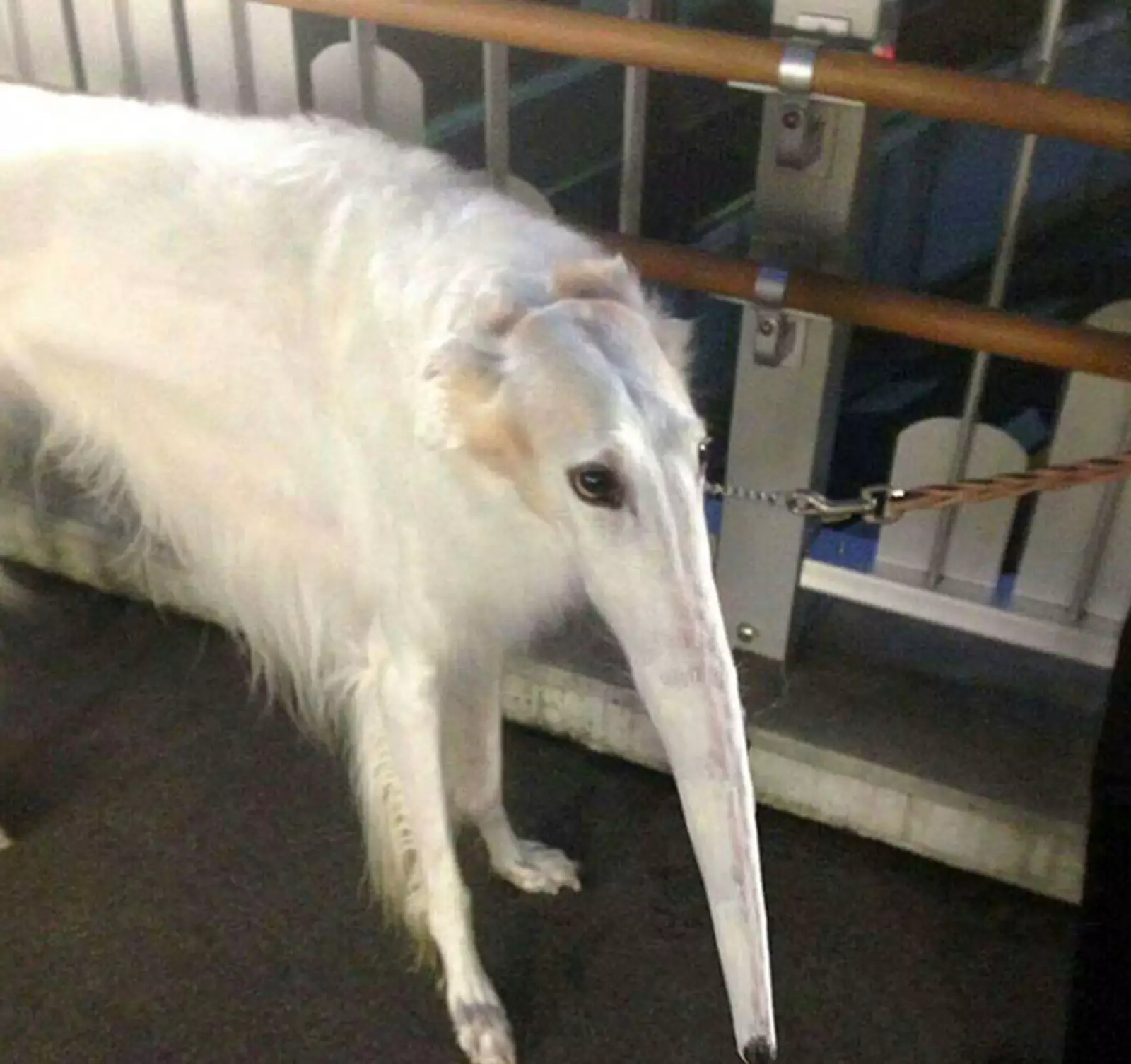 Хейтеры будут говорить, что это фотошоп. Хейтеры будут говорить, что это фотошоп.