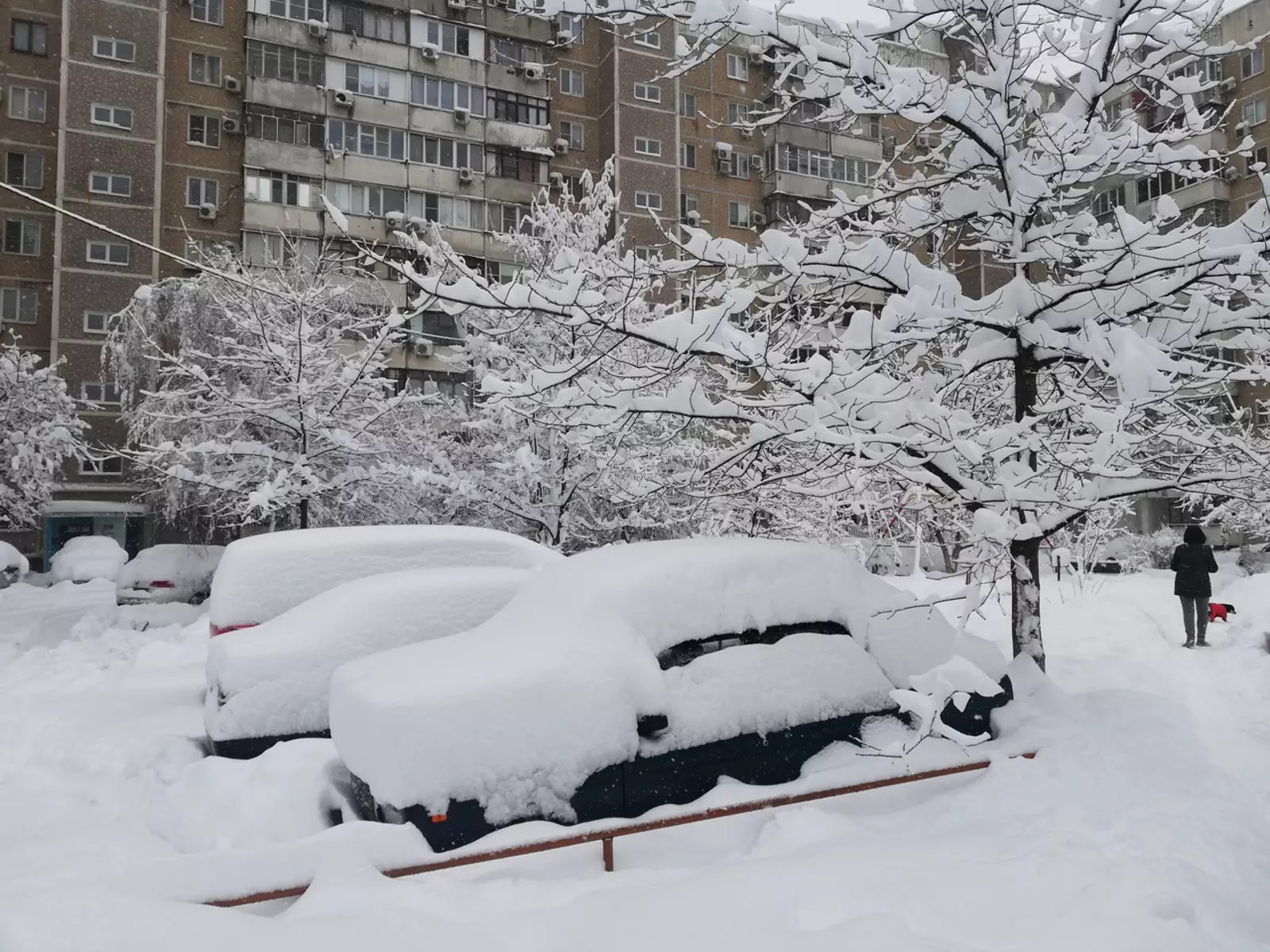 Последствия снегопада в Краснодаре