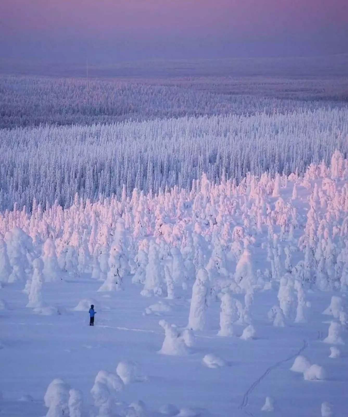  Бескрайне заснеженный финский лес.