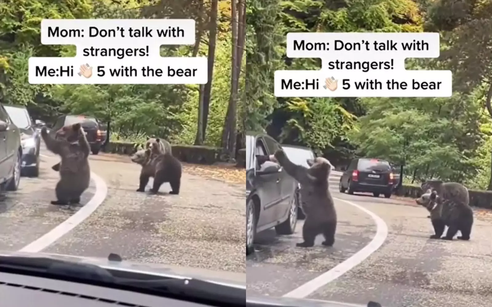 Медвежонок дал пять водителю.