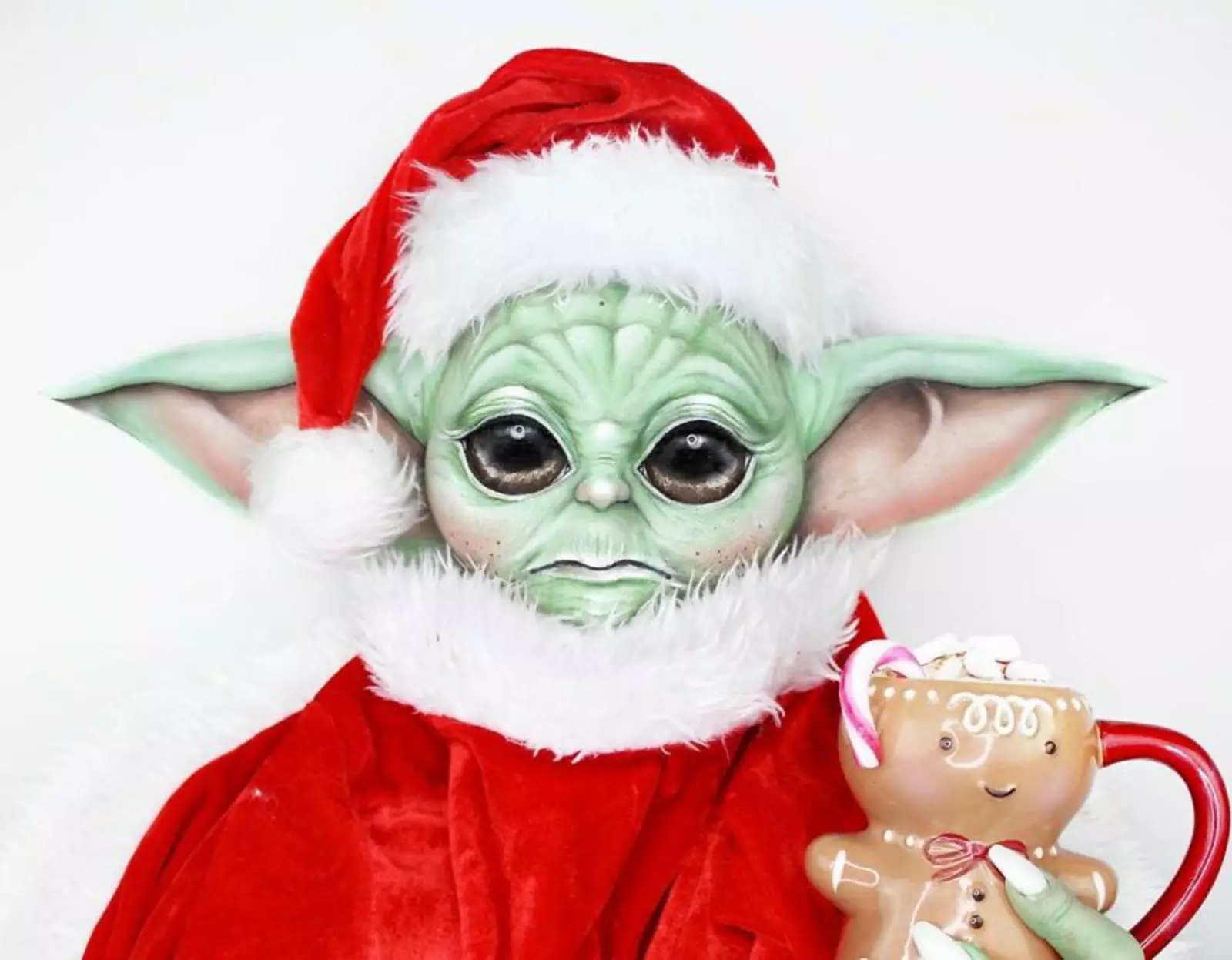 Грогу. Грогу.