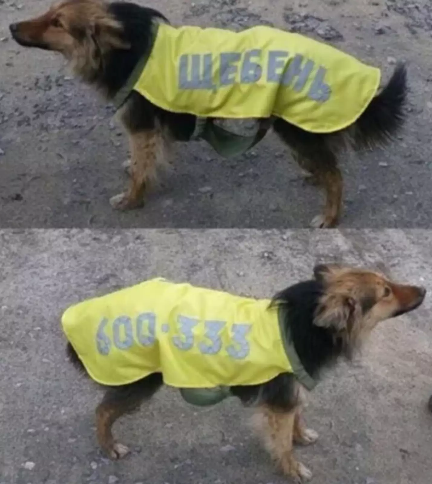 Агрессивный маркетинг. Агрессивный маркетинг.