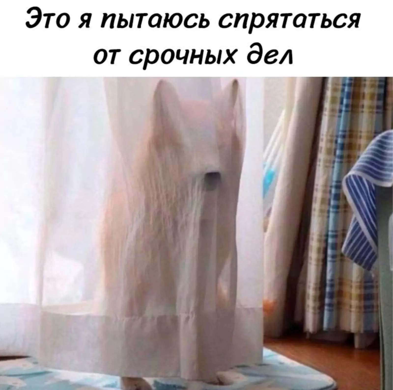 Понедельник — боль. Понедельник — боль.