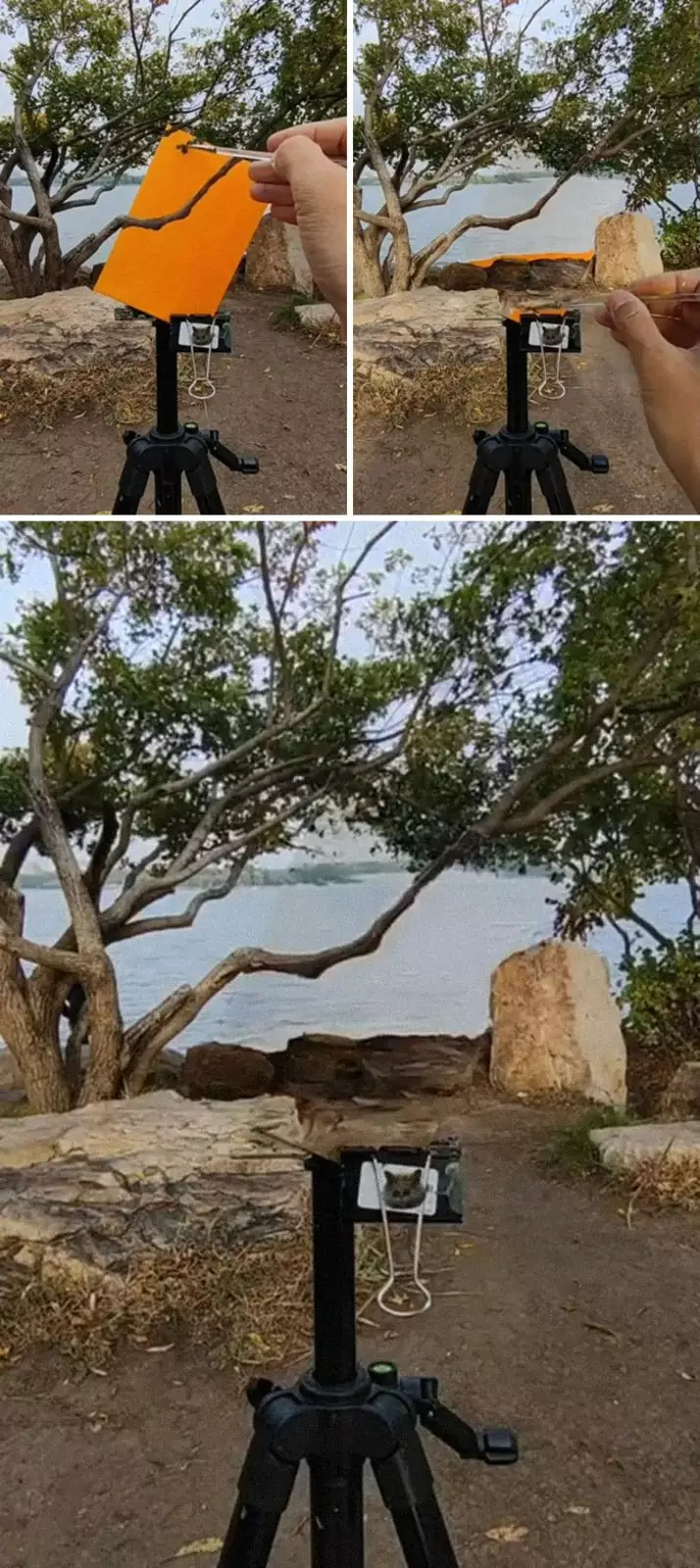 Слияние с окружающей средой. Слияние с окружающей средой.