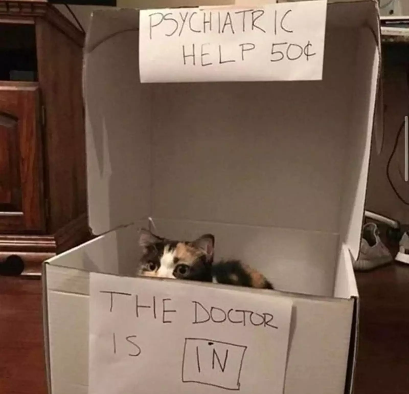 4. Психиатрическая помощь за 50 евро. Доктор в коробке. 4. Психиатрическая помощь за 50 евро. Доктор в коробке.