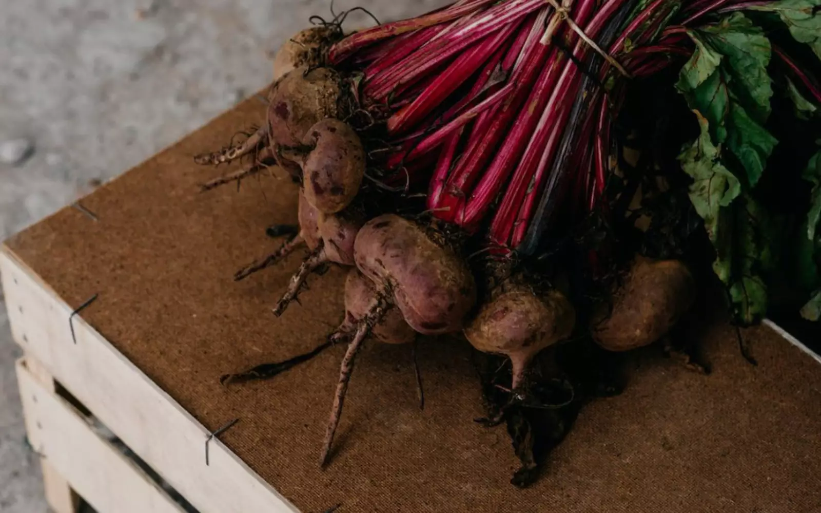 Свекла. Свекла.