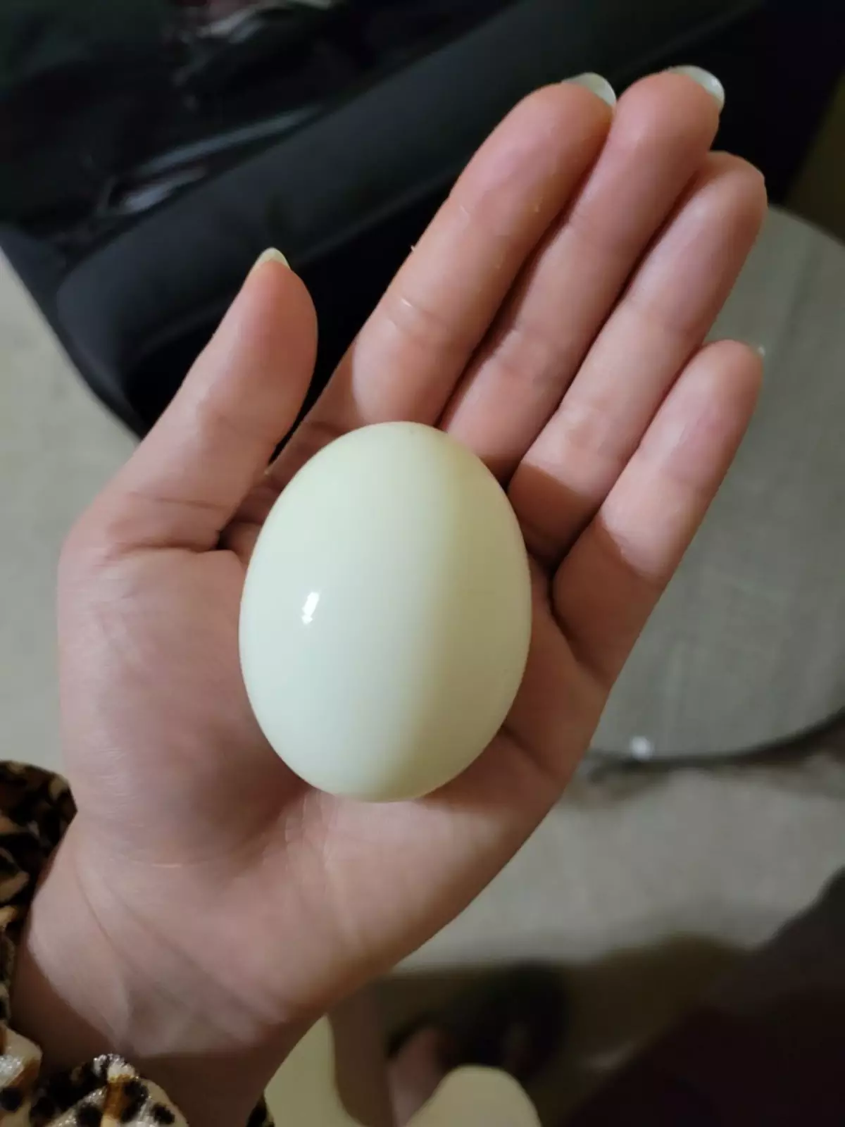 Идеальное яйцо, сваренное вкрутую.