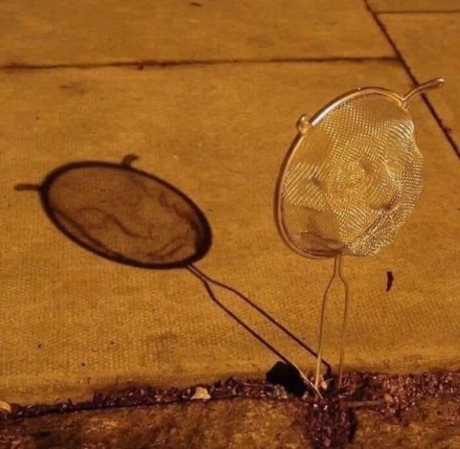 Настоящее искусство. Настоящее искусство.