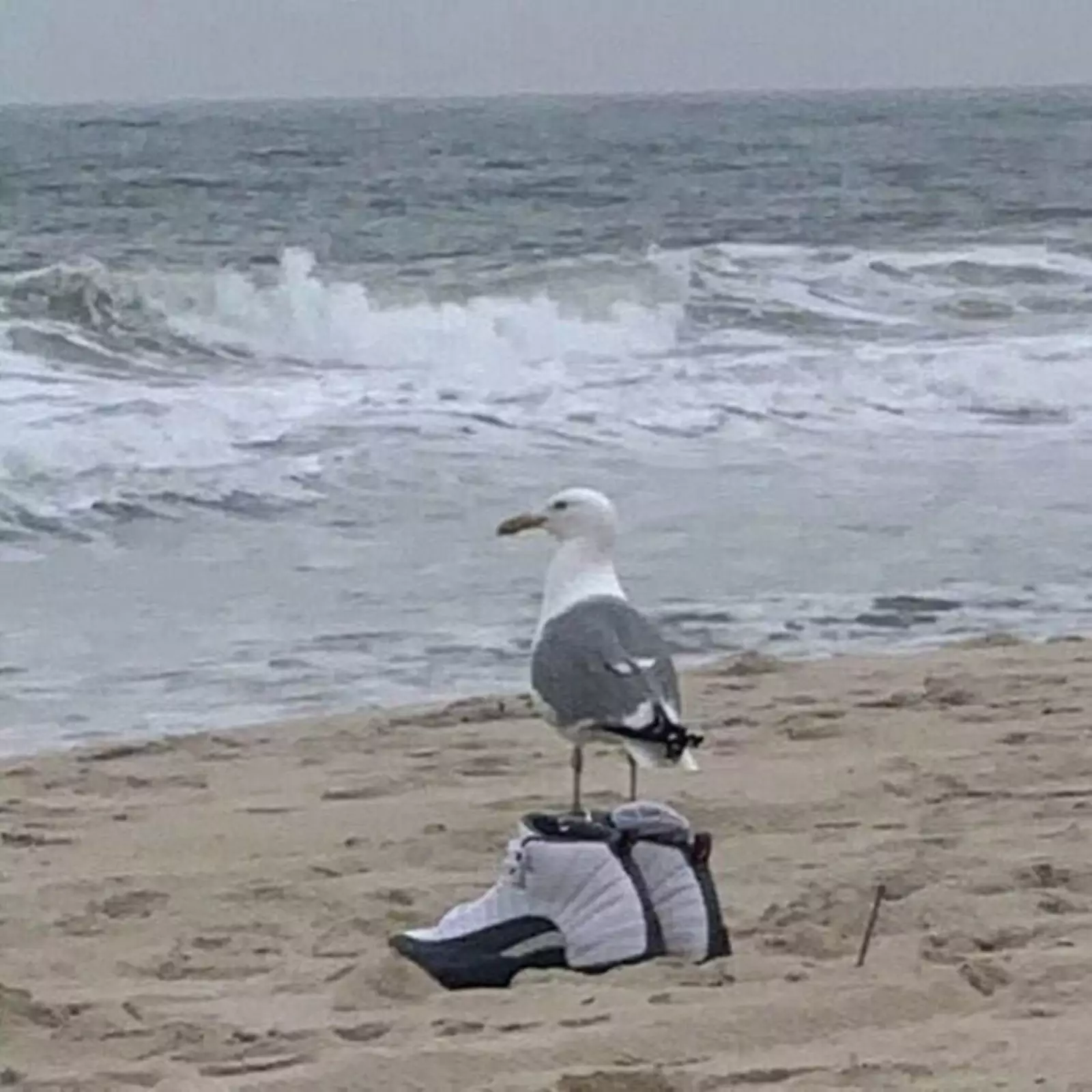 Думает о великом. Думает о великом.