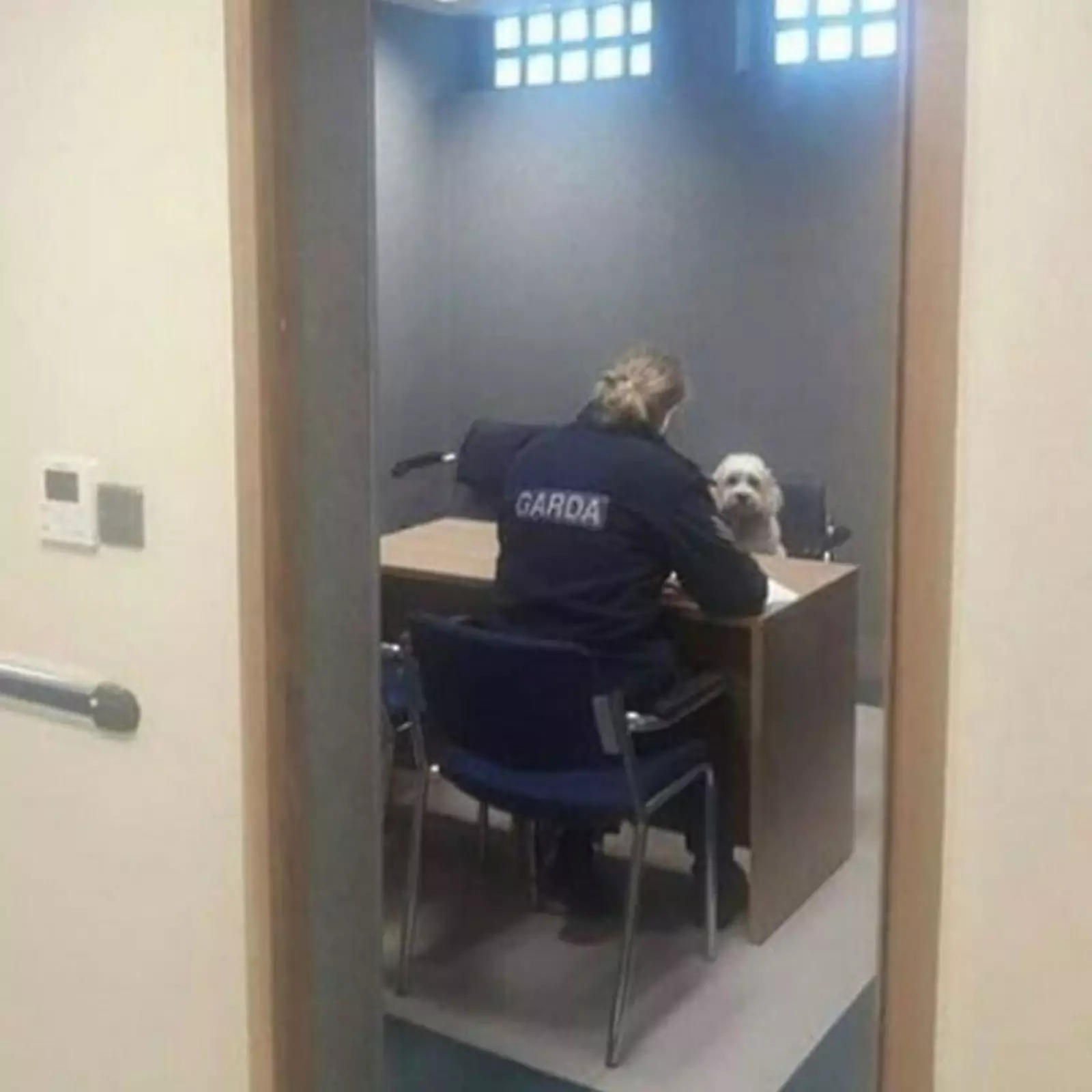 Кажется, кто-то был не таким и хорошим мальчиком. Кажется, кто-то был не таким и хорошим мальчиком.