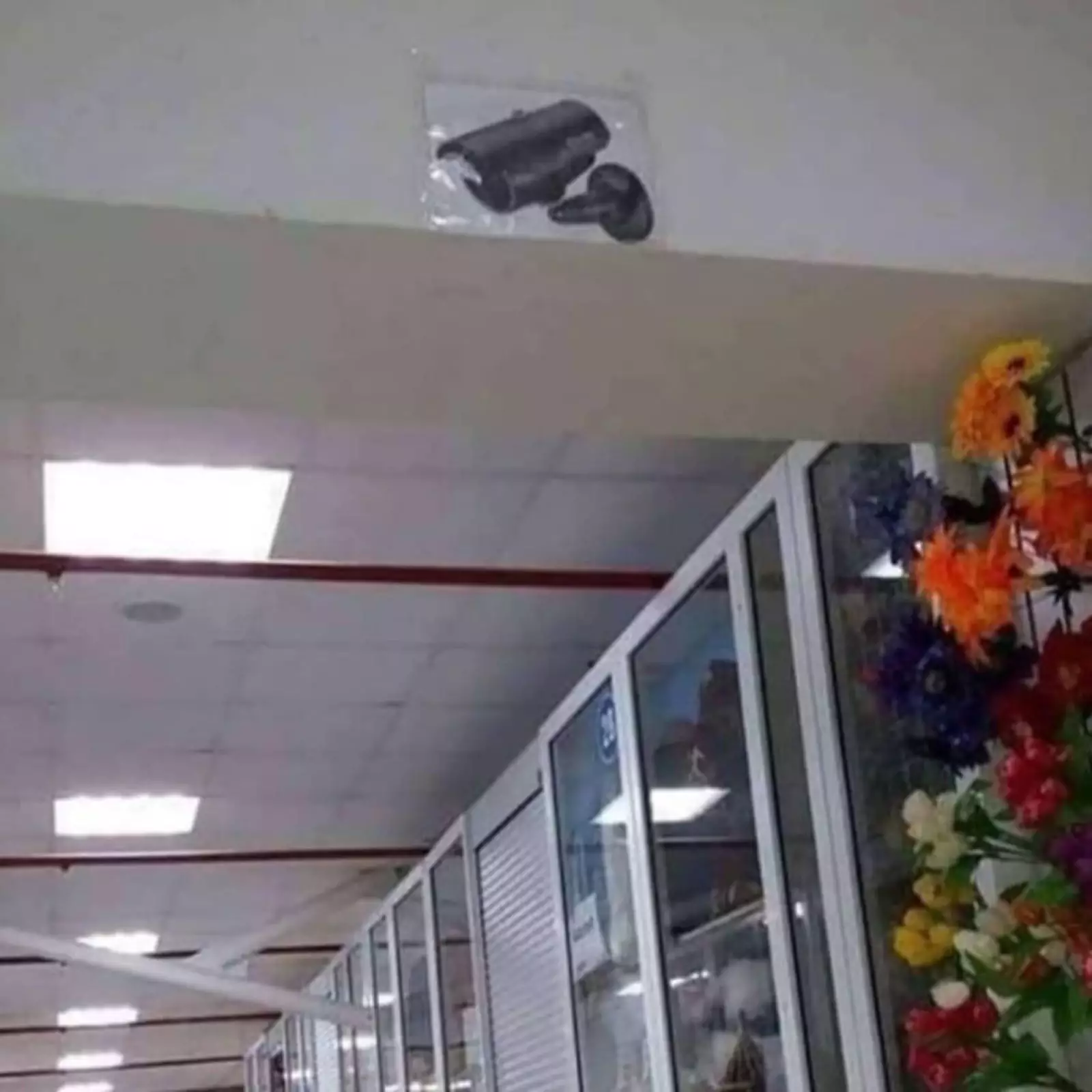 За безопасность можно не переживать. За безопасность можно не переживать.