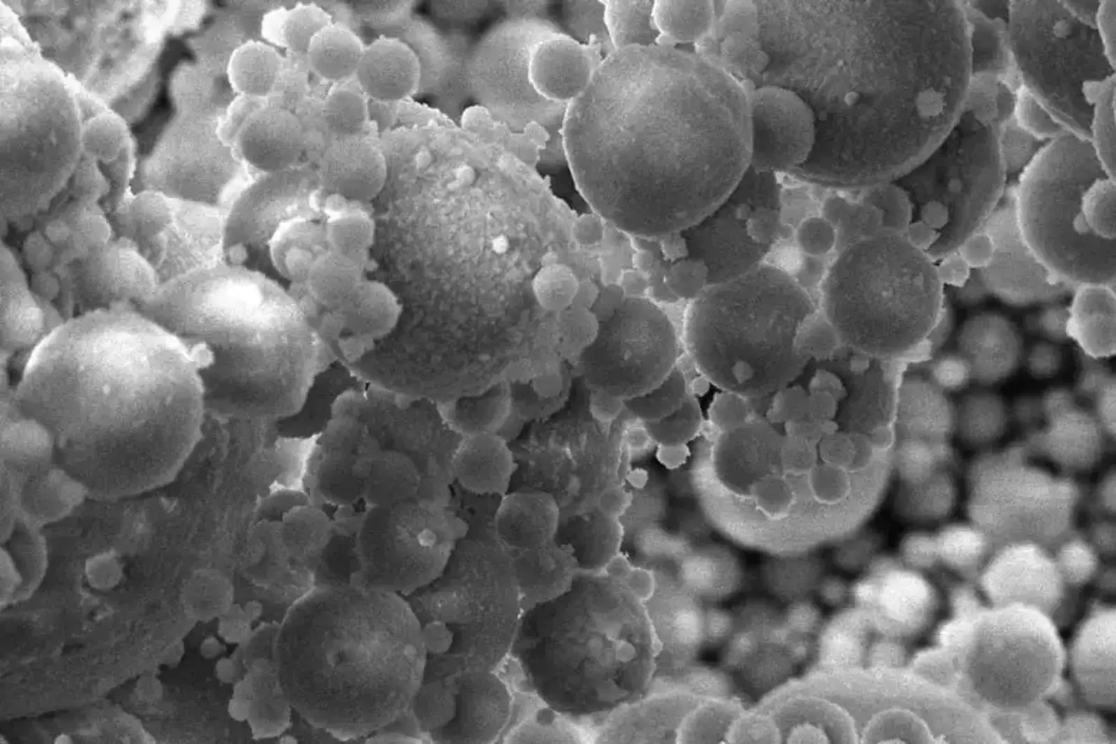 Микроскопическое изображение крошечных стеклянных сфер в угольной летучей золе, содержащей редкоземельные элементы.