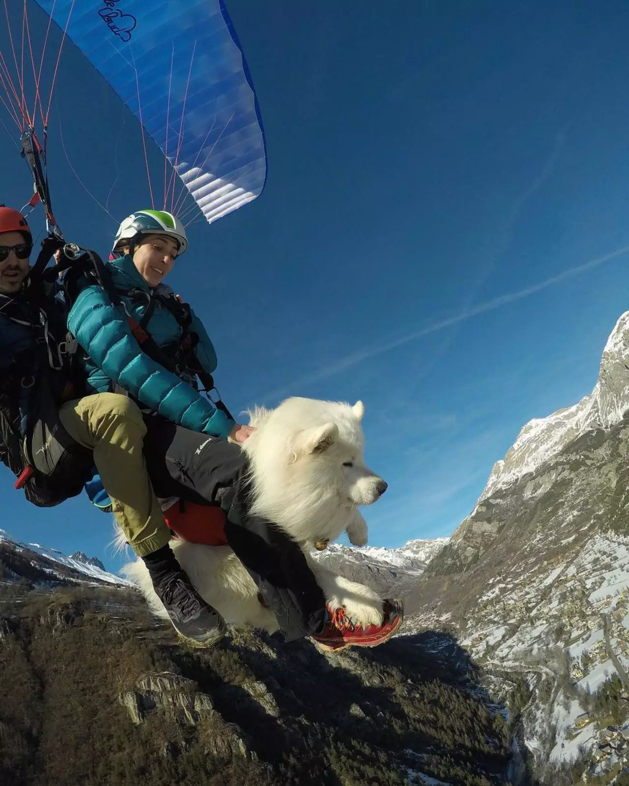 В целом на полное обучение Оуки полетам ушло около полутора месяцев. В целом на полное обучение Оуки полетам ушло около полутора месяцев.