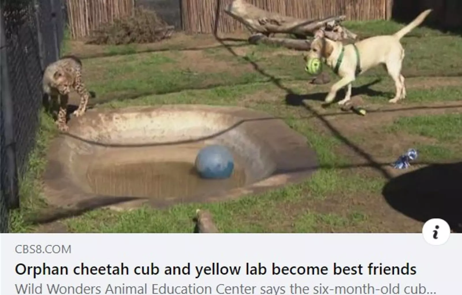 Ярра и Тави. Ярра и Тави.