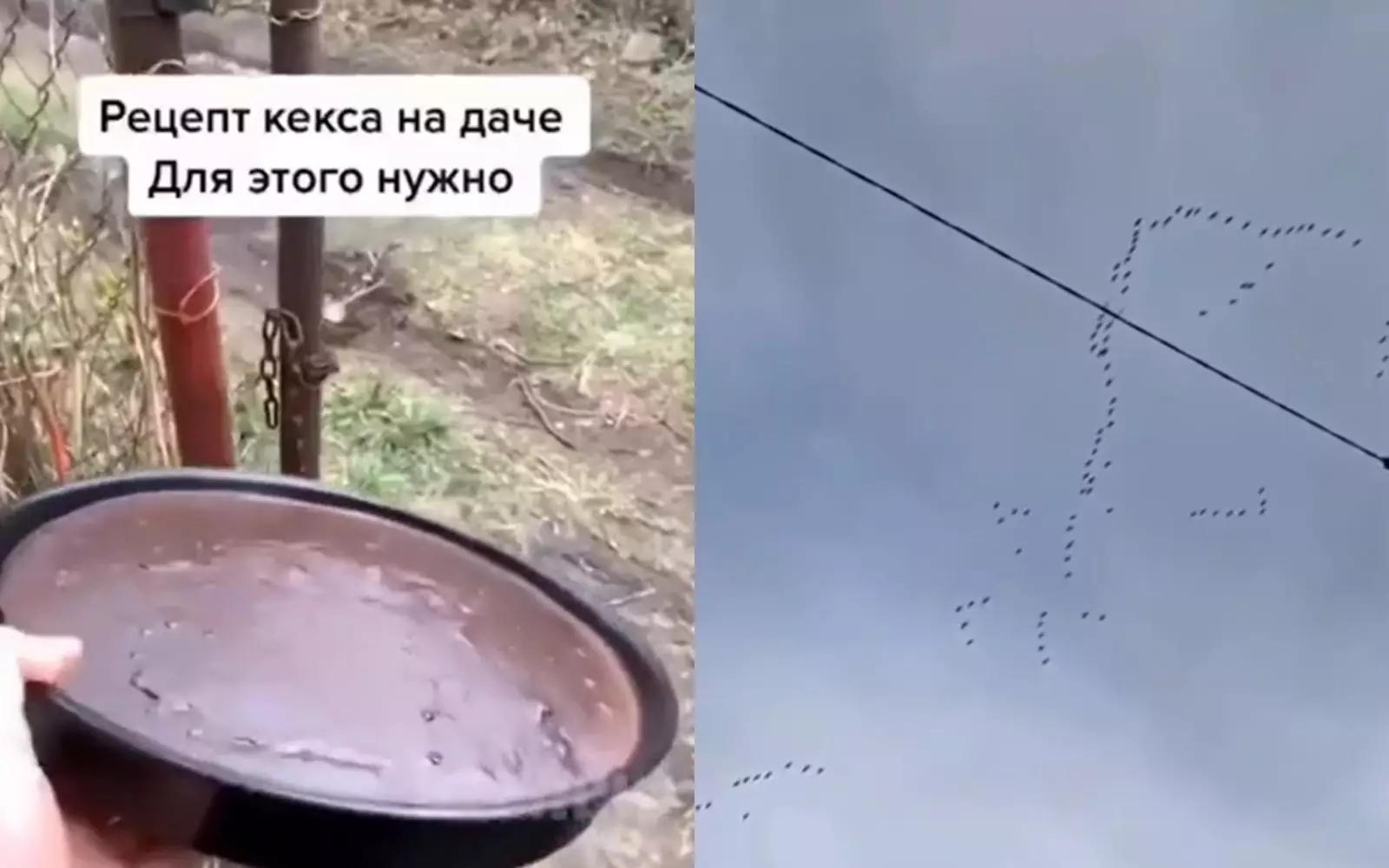 Девушка внезапно увлеклась наблюдением за утками. Девушка внезапно увлеклась наблюдением за утками.