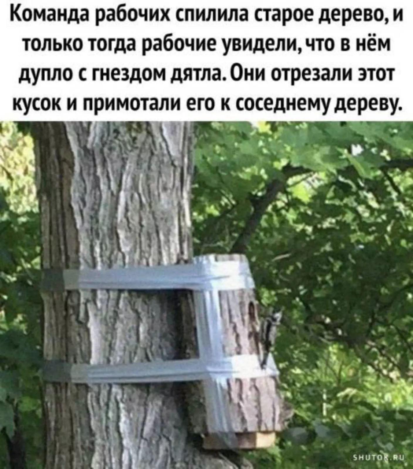 И нет проблем. И нет проблем.