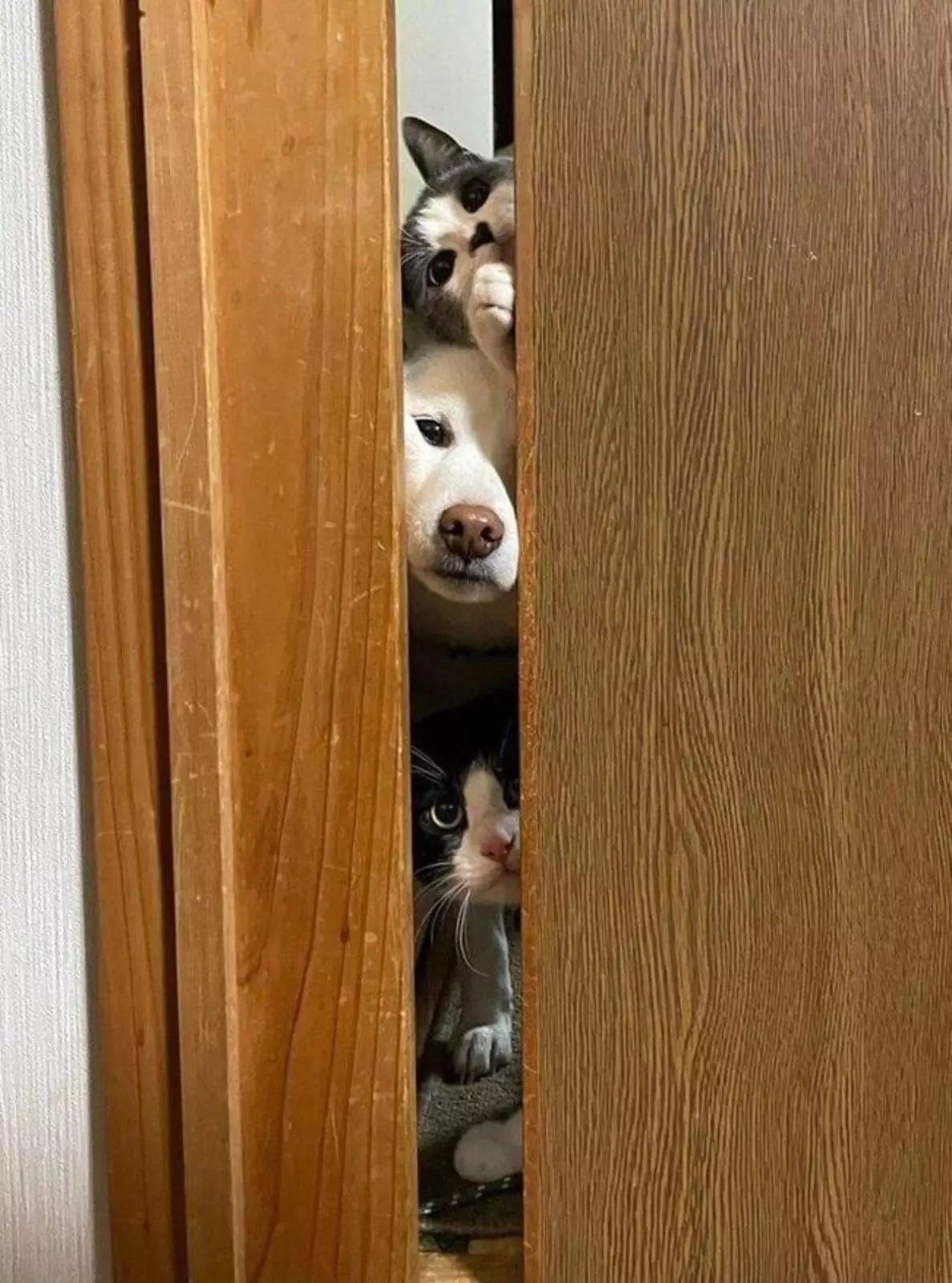 Эти глаза напротив. Эти глаза напротив.