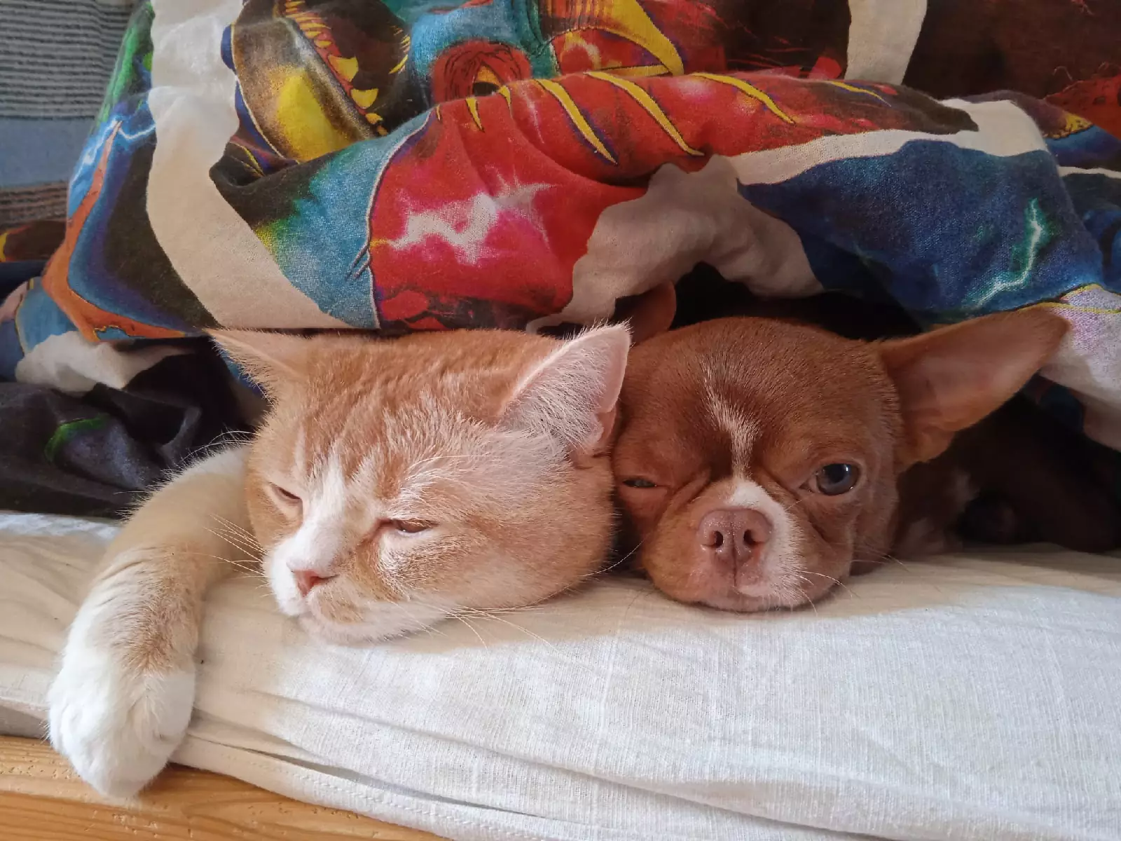 Тихий час. Тихий час.