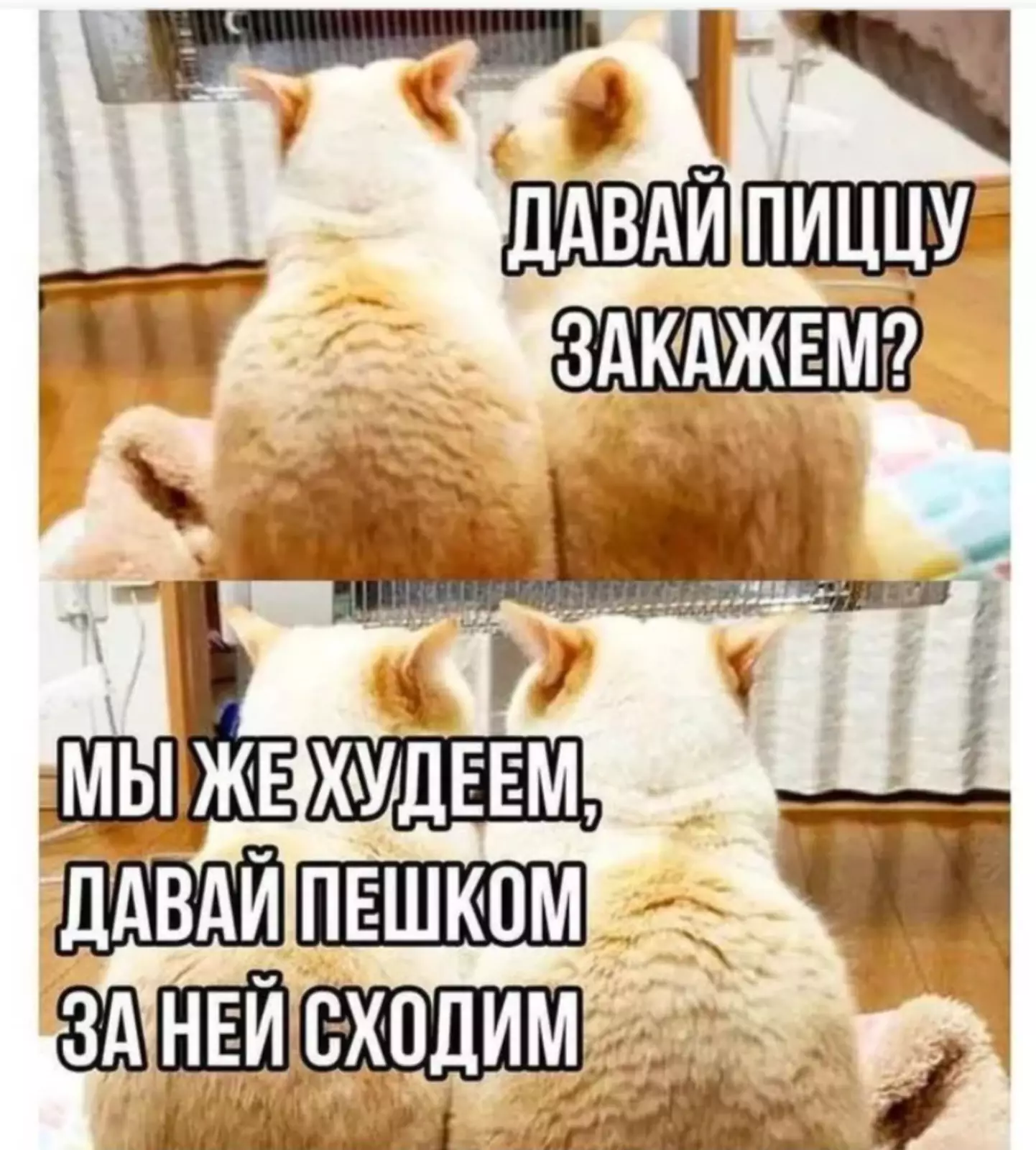 Идеальные отношения. Идеальные отношения.