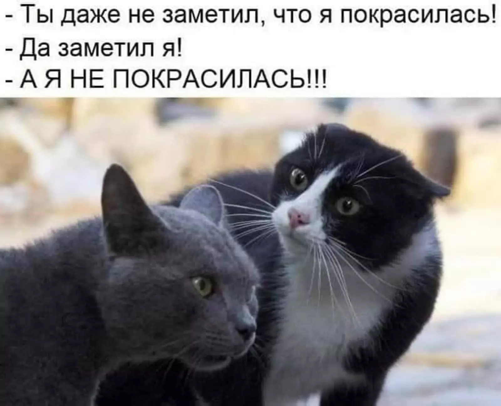 Упс, неловко вышло. Упс, неловко вышло.