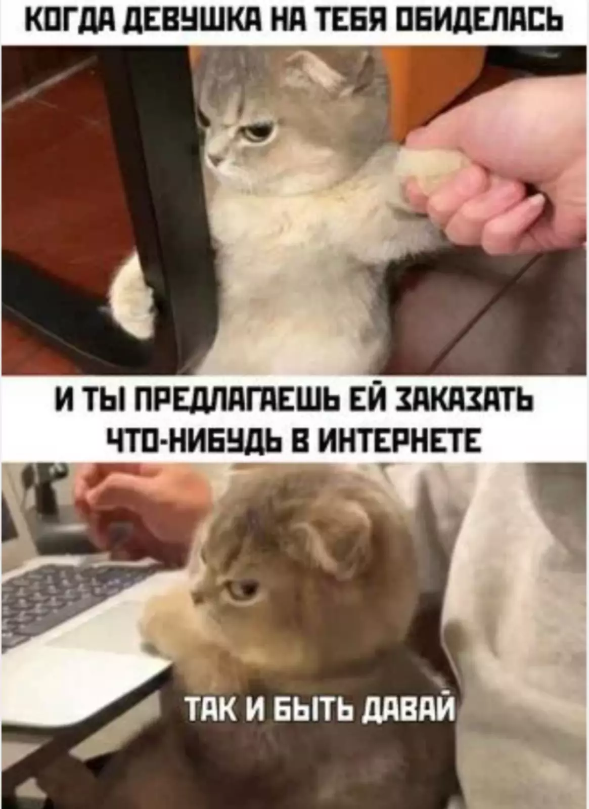 Уговорил. Уговорил.