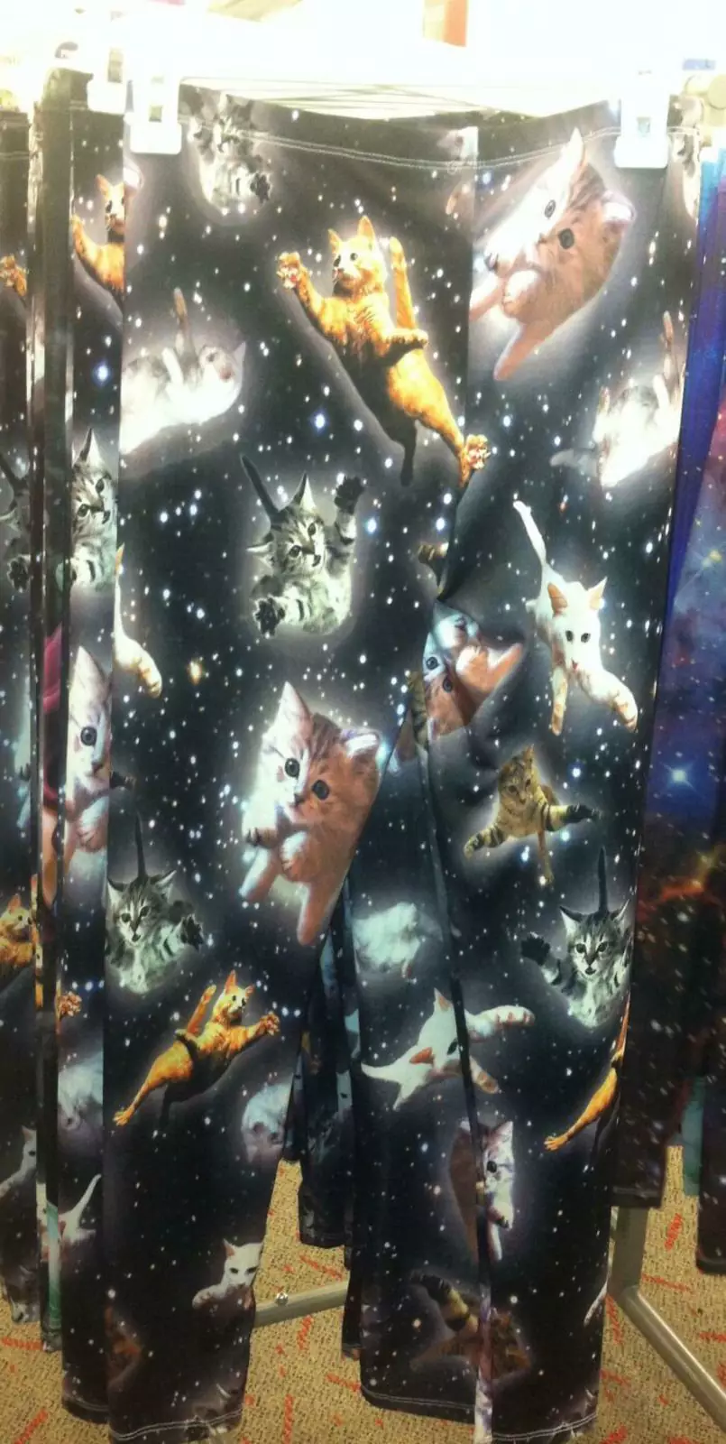 Для любителей котиков.