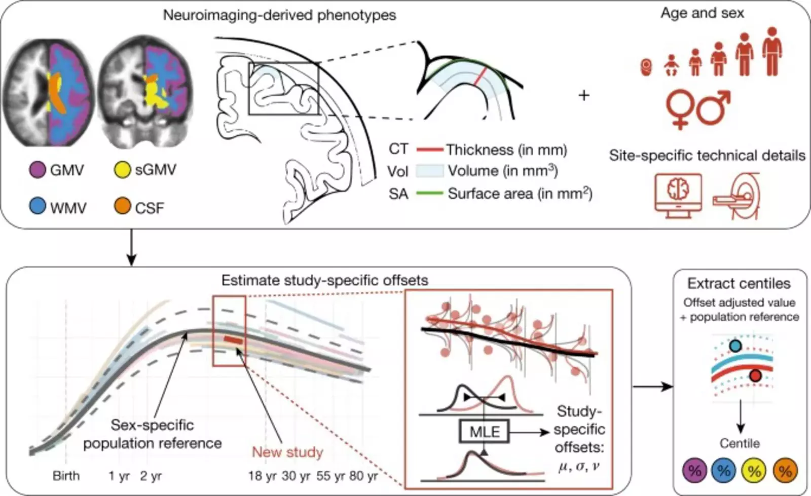 Карта развития мозга позволит отслеживать многие страческие болезни, начиная с детства. Карта развития мозга позволит отслеживать многие страческие болезни, начиная с детства.