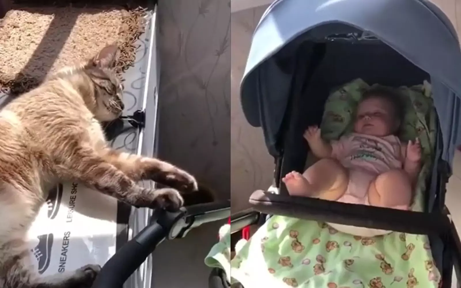 Кошка, помогающая хозяйке укачивать младенца.