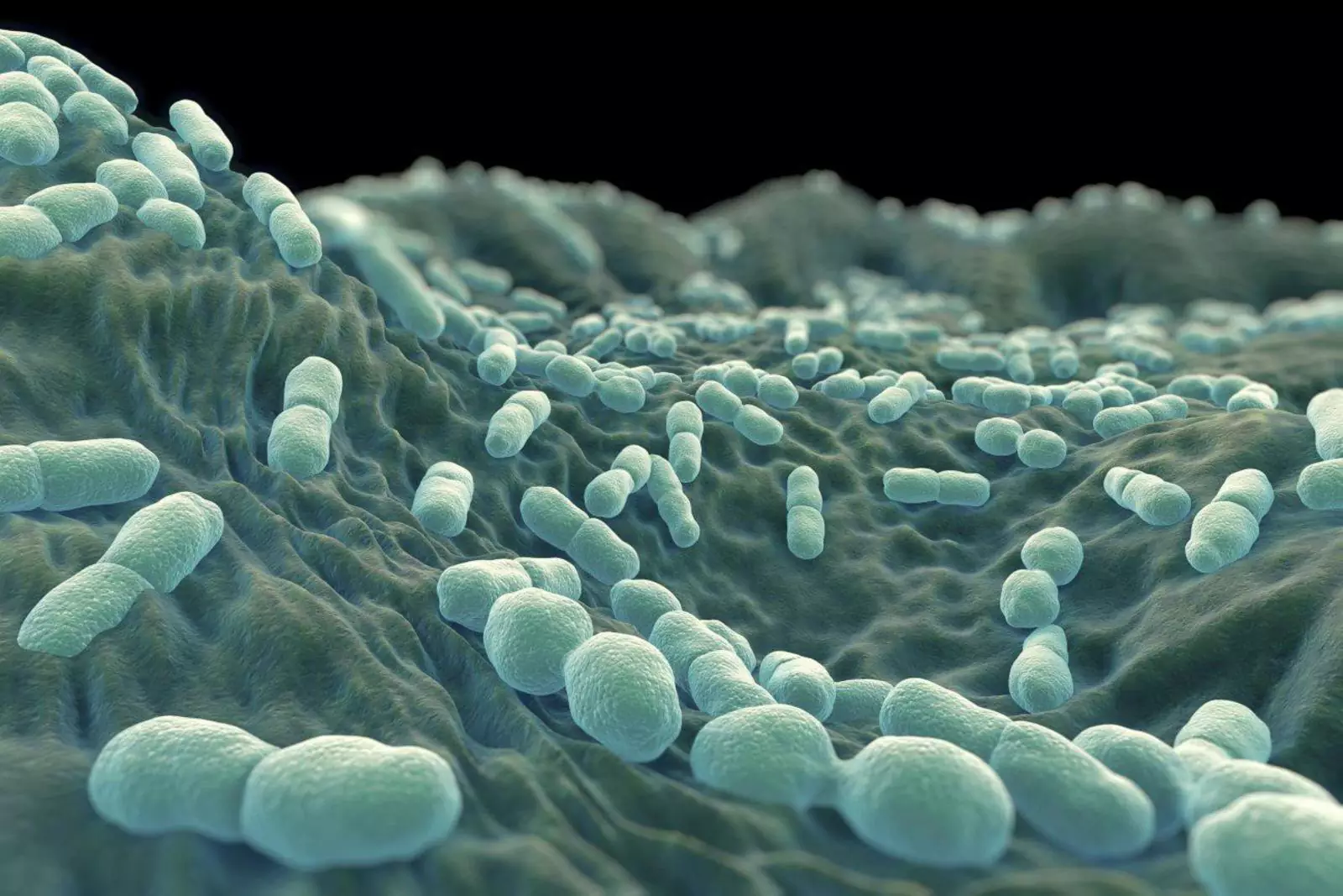 Внутри мочевых катетеров обычно прекрасно размножаются бактерии.