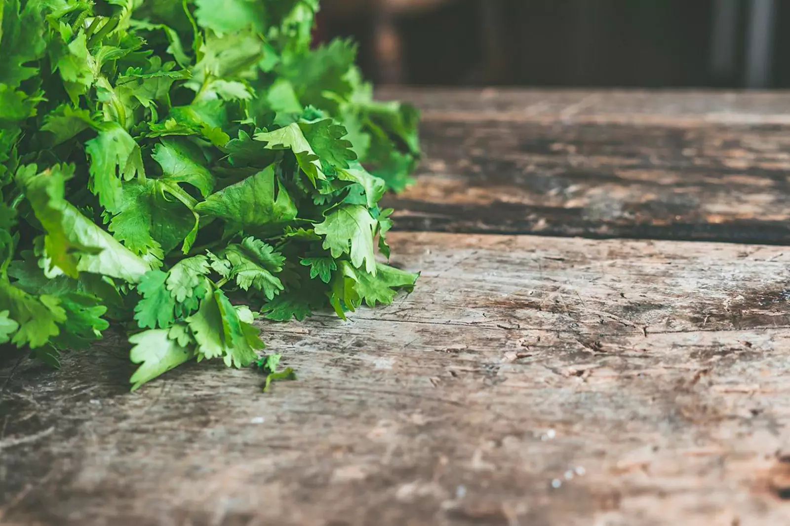 Кинза Кинза