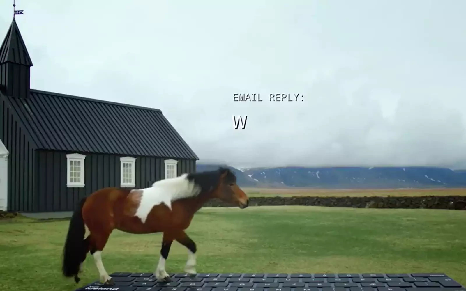 Лошадка отвечает на рабочий имейл.