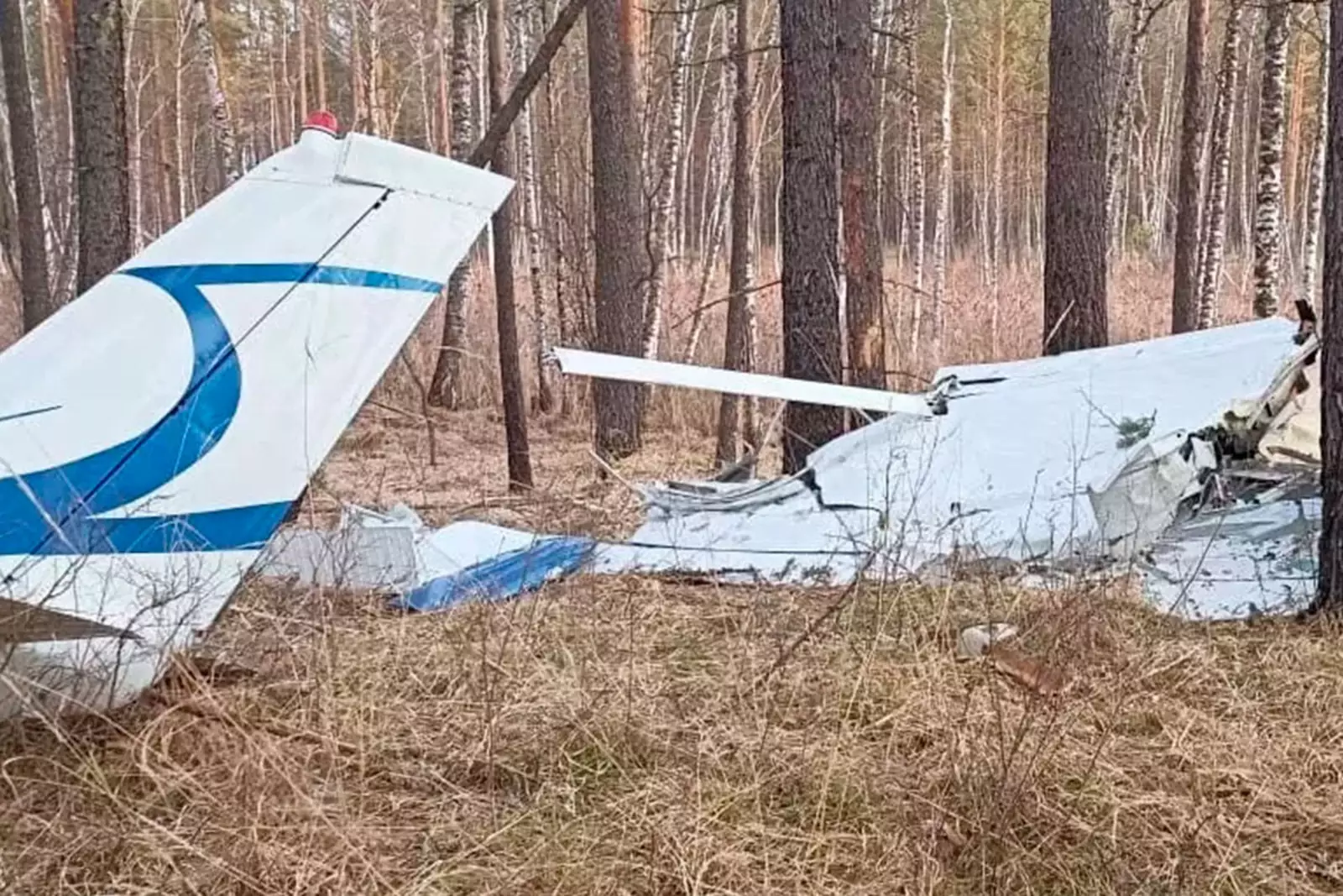 Разбился самолет богородское. Цессна 182 крушение Красноярск. Cessna 182 Красноярский край крушение.